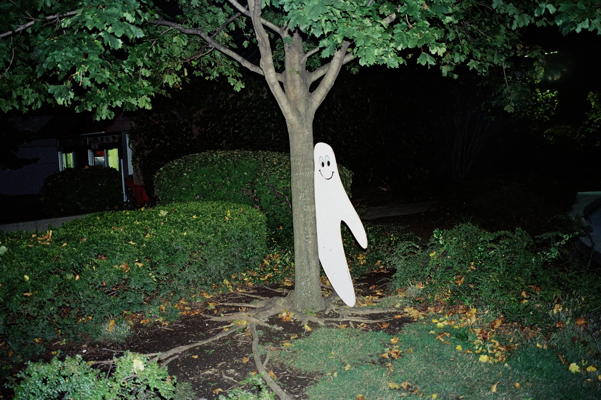 Five Photos Five Stories With Daniel Arnold