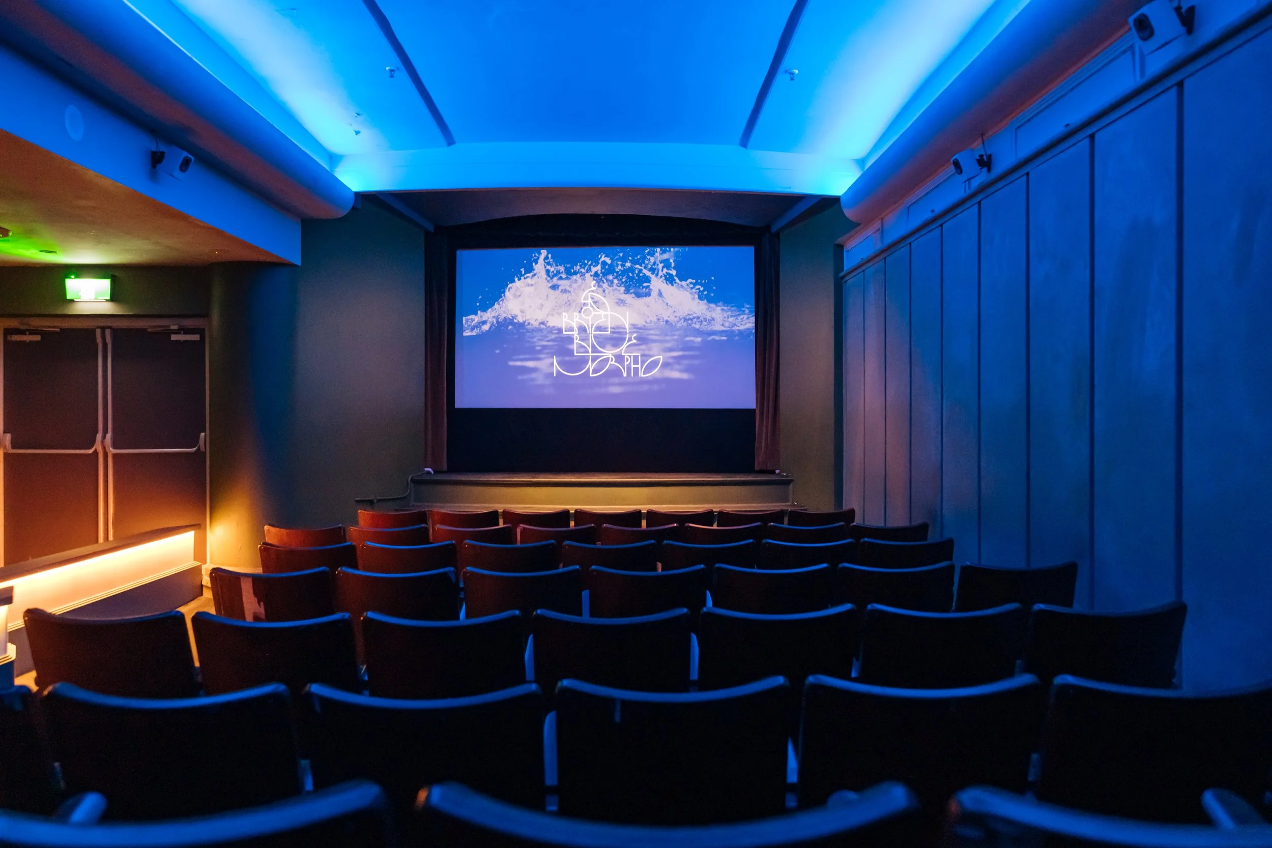 YOU MISSED IT - OUR SCREENING OF ED O’BRIEN’S NEW FILM, ‘BLUE MORPHO'