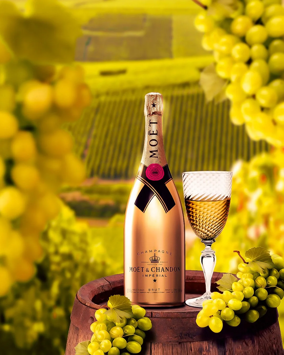 MOET FULL SCREEN edit.jpg