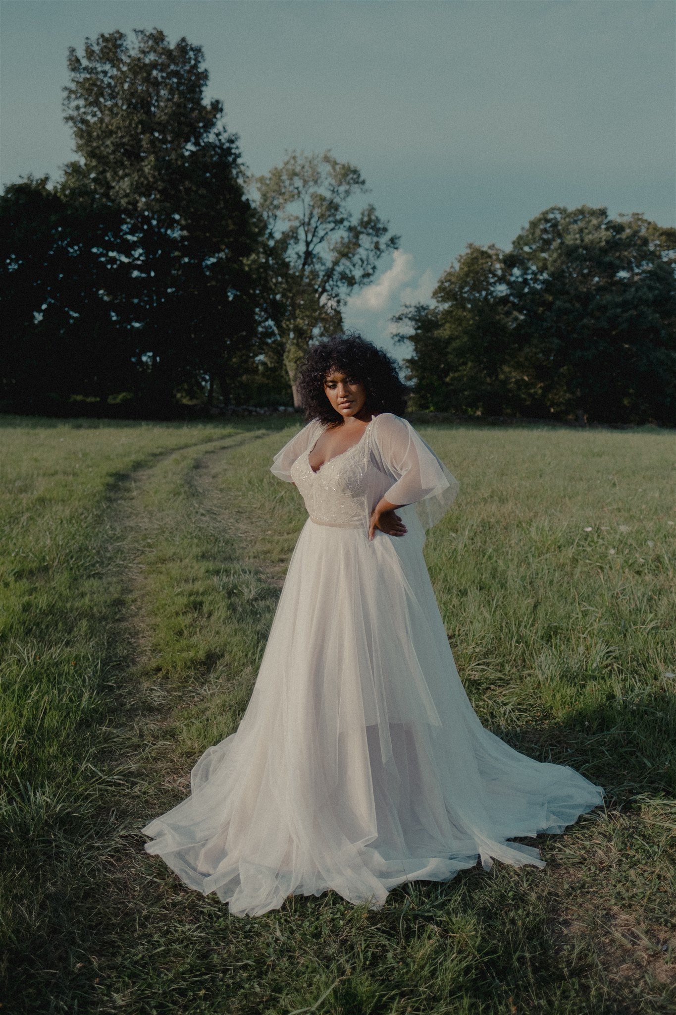 Plus size birdal gown, romantic, flutter sleeve, tulle fabric