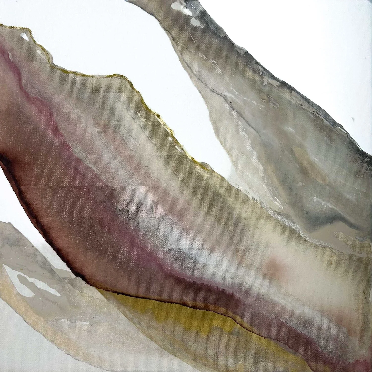 Reina | Heather O'Donovan | 13.75 x 13.75 (framed) | $250
