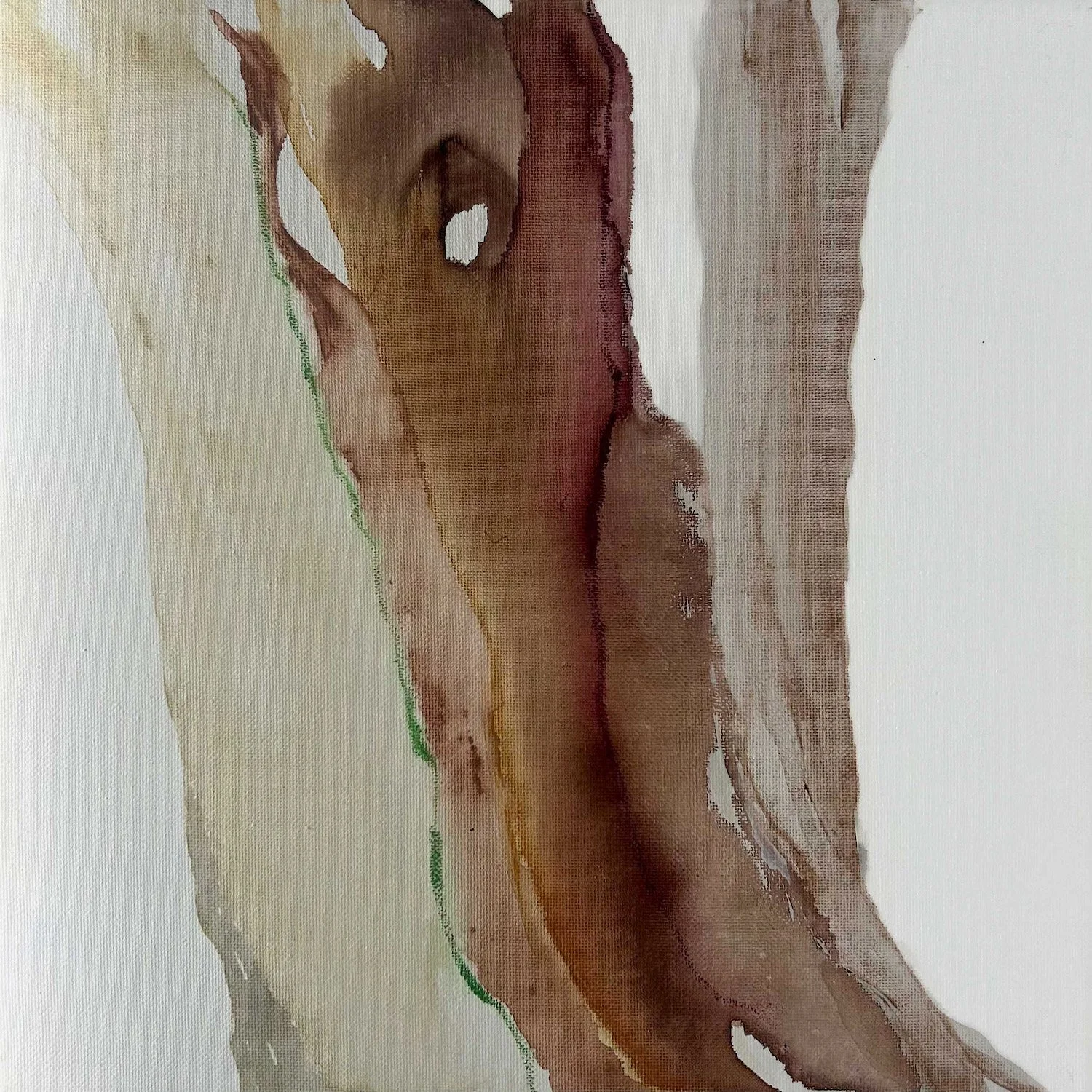 Cypress | Heather O'Donovan | 13.75 x 13.75 | $250