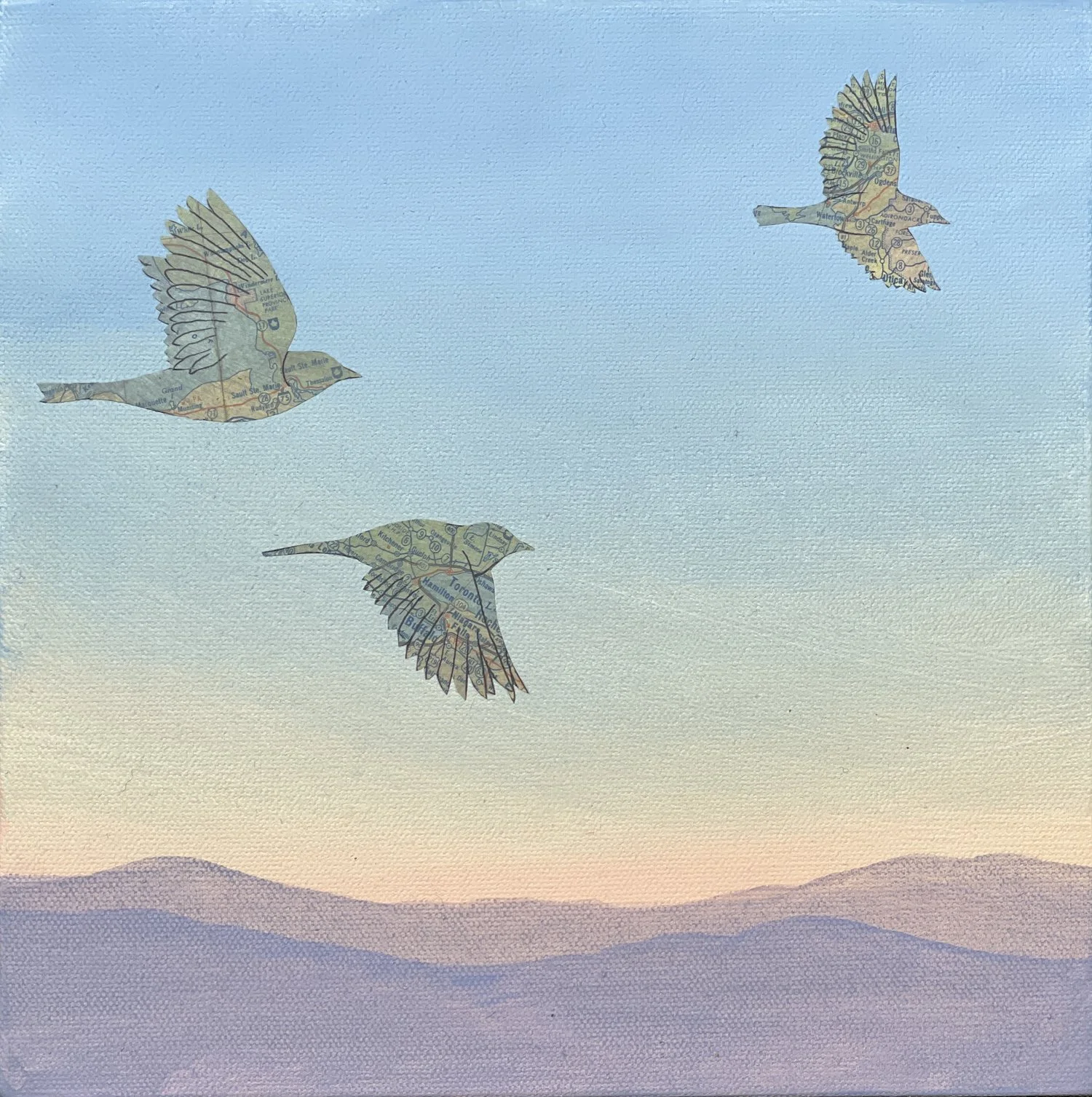 Warblers VI = Lost Migrations | Taina Litwak | 10 x 10 | $275