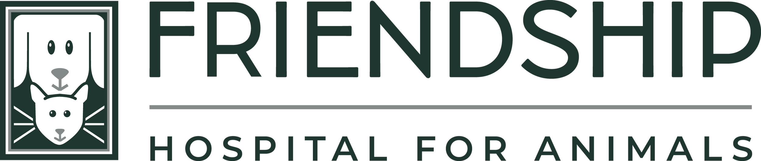 Friendship-Logo-Primary (2).png