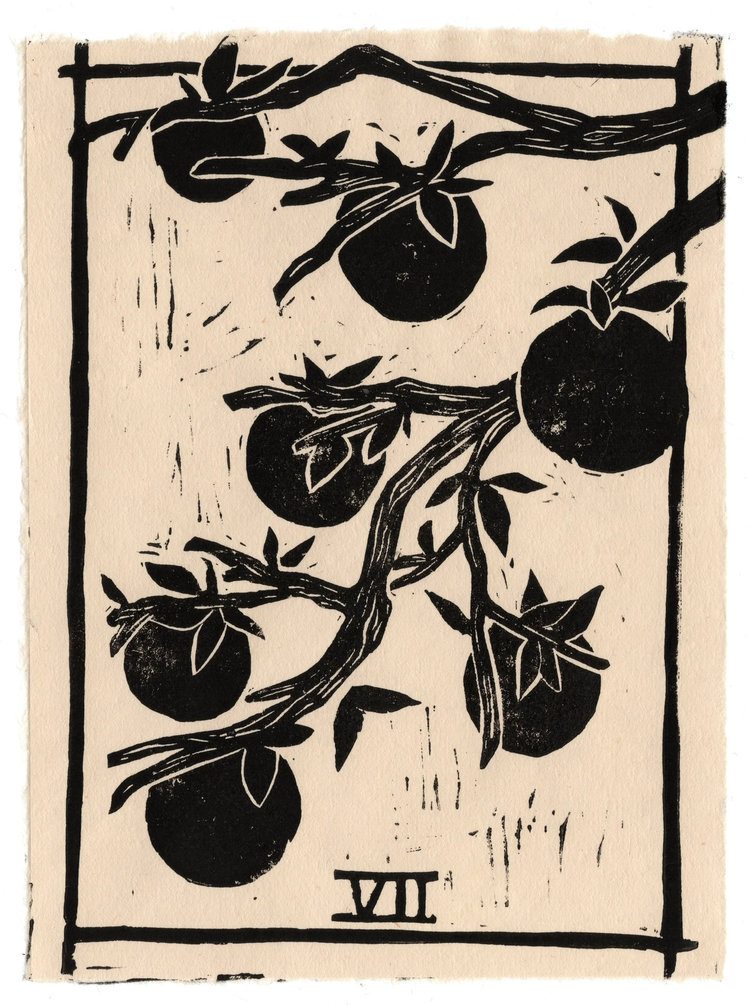 Seven of Pentacles