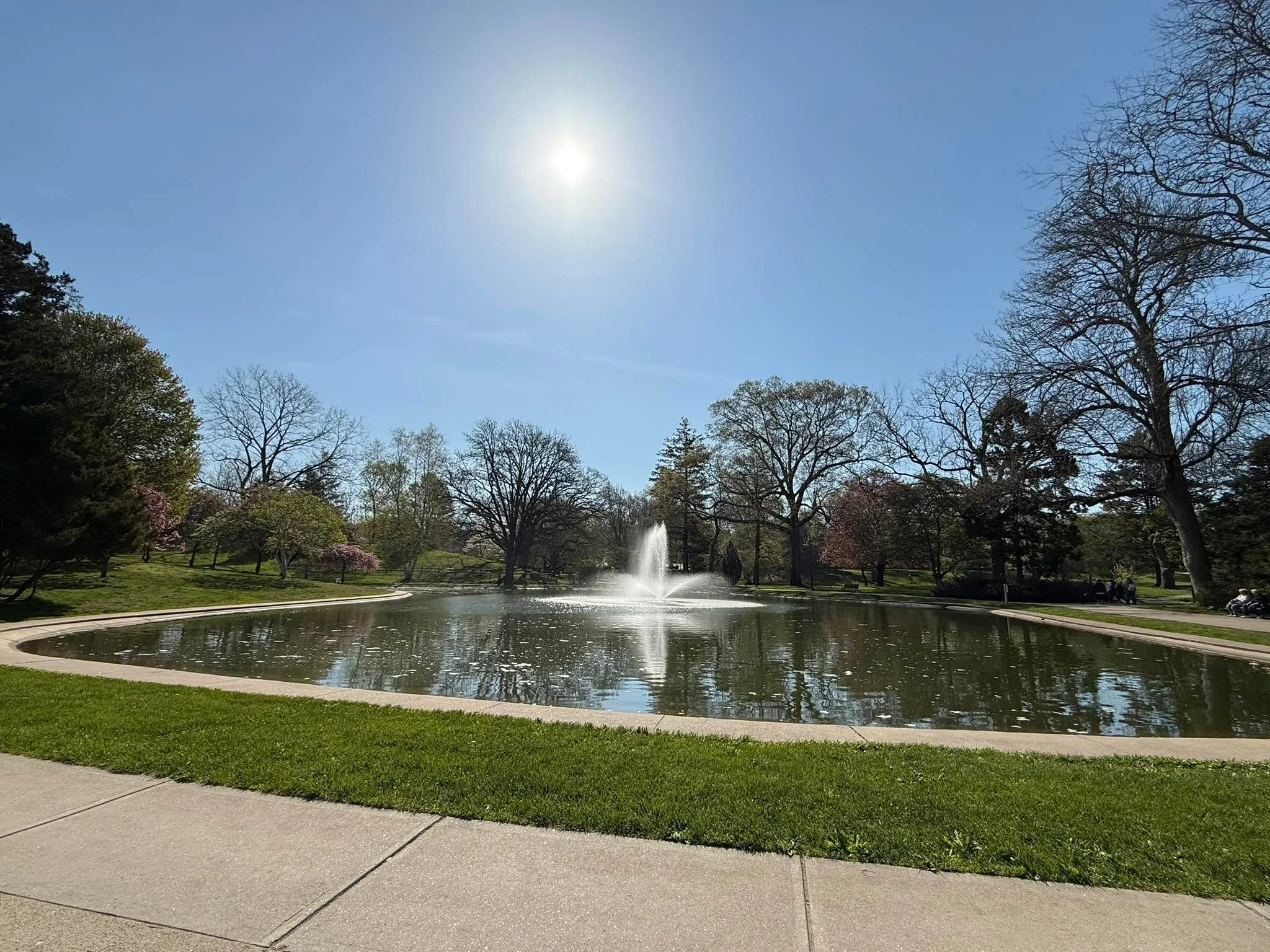 I went for a walk this morning and took a break in the park on a bench and realized this might be the best seat in the whole town at this moment.