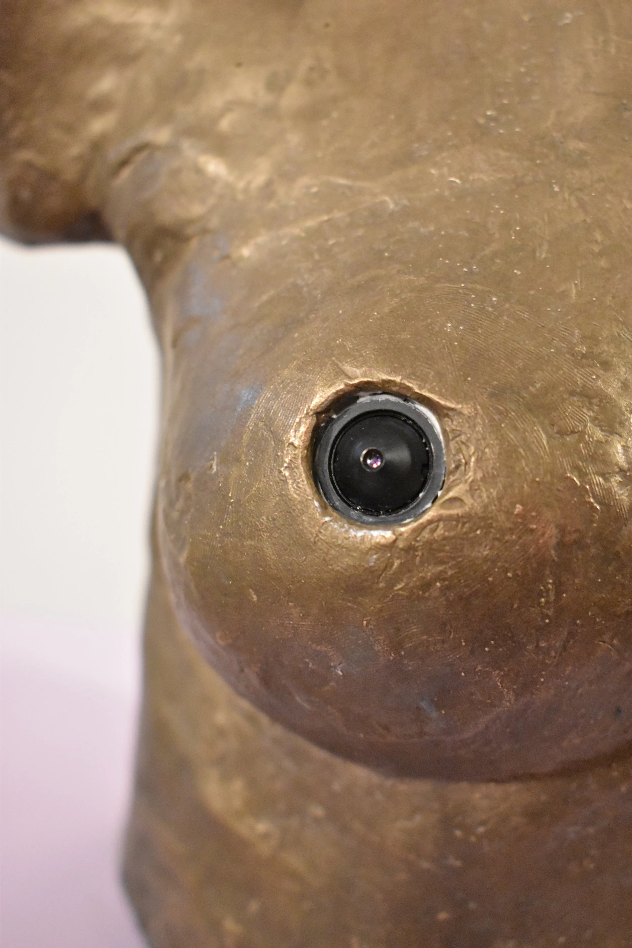 wibaux_marguerite_nipplegaze closeup.JPG