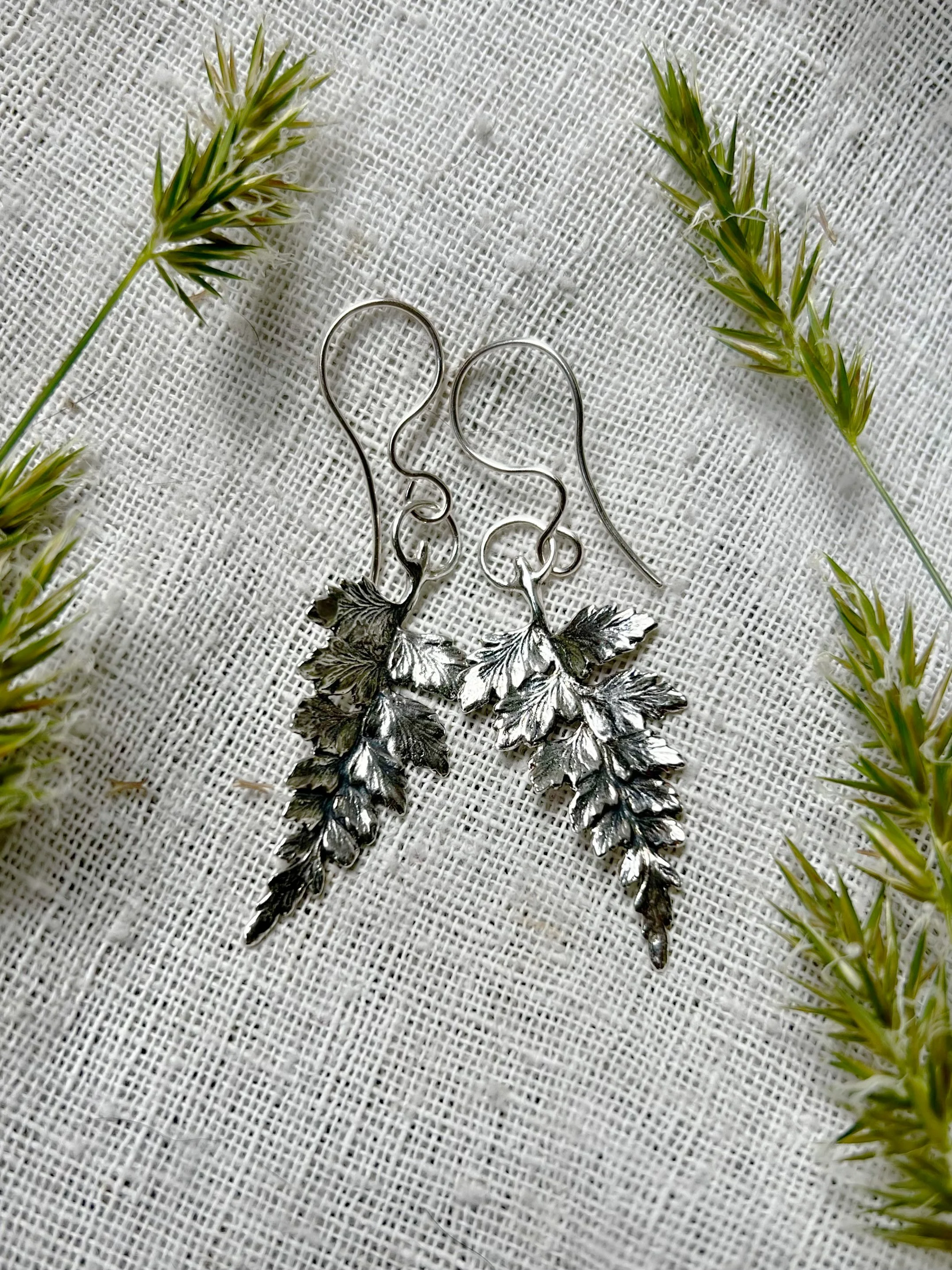 Silver Fern Earrings