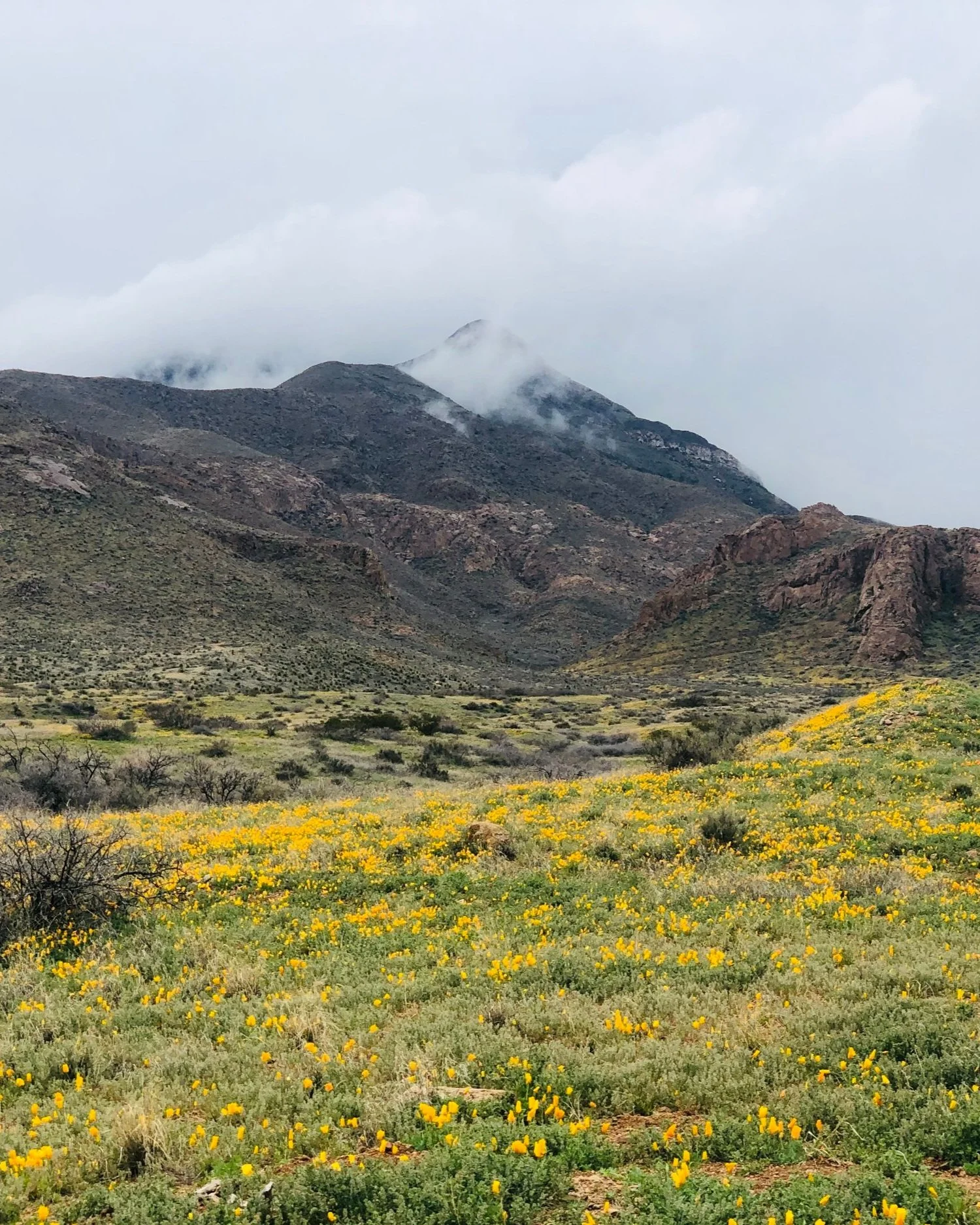 Endorsements — El Paso Climate Prop K