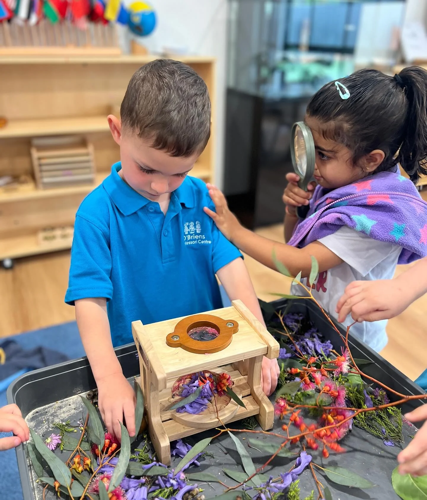 Two children exploring a floral display with a magnifying glass and natural objects in a classroom setting.