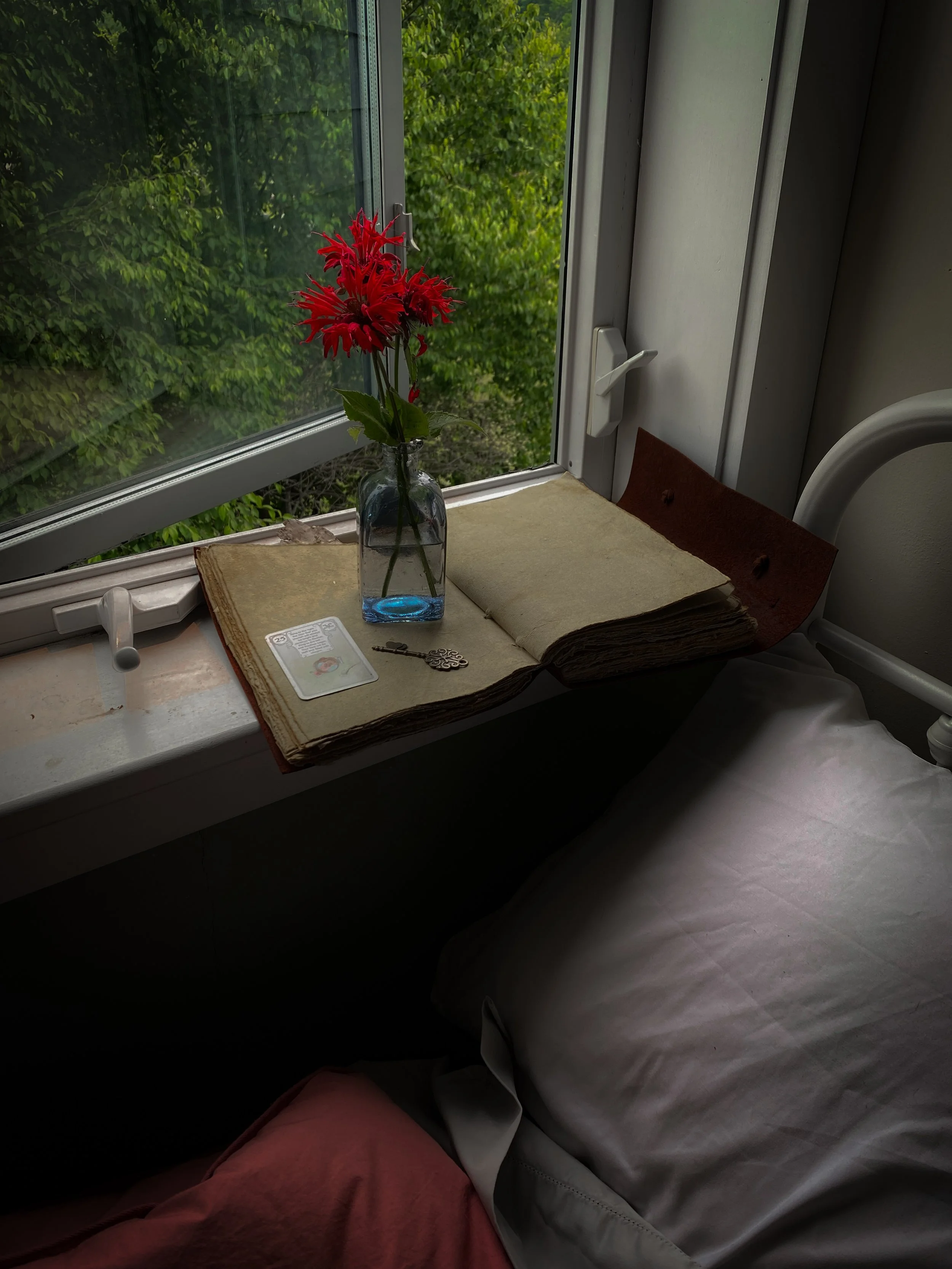 Bee Balm and the Ecology of Longing 
