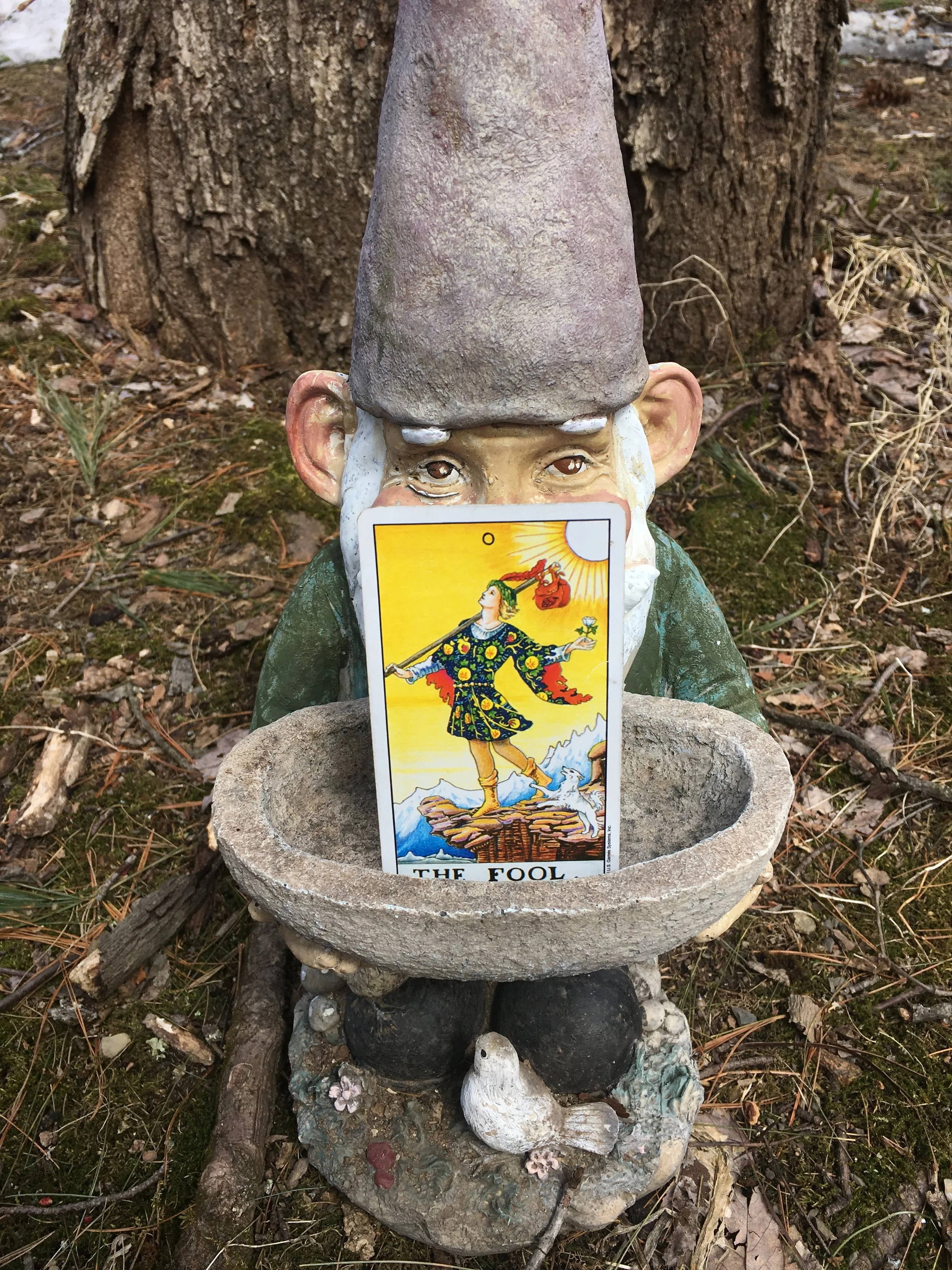 Path Zero - The Fool + Coltsfoot