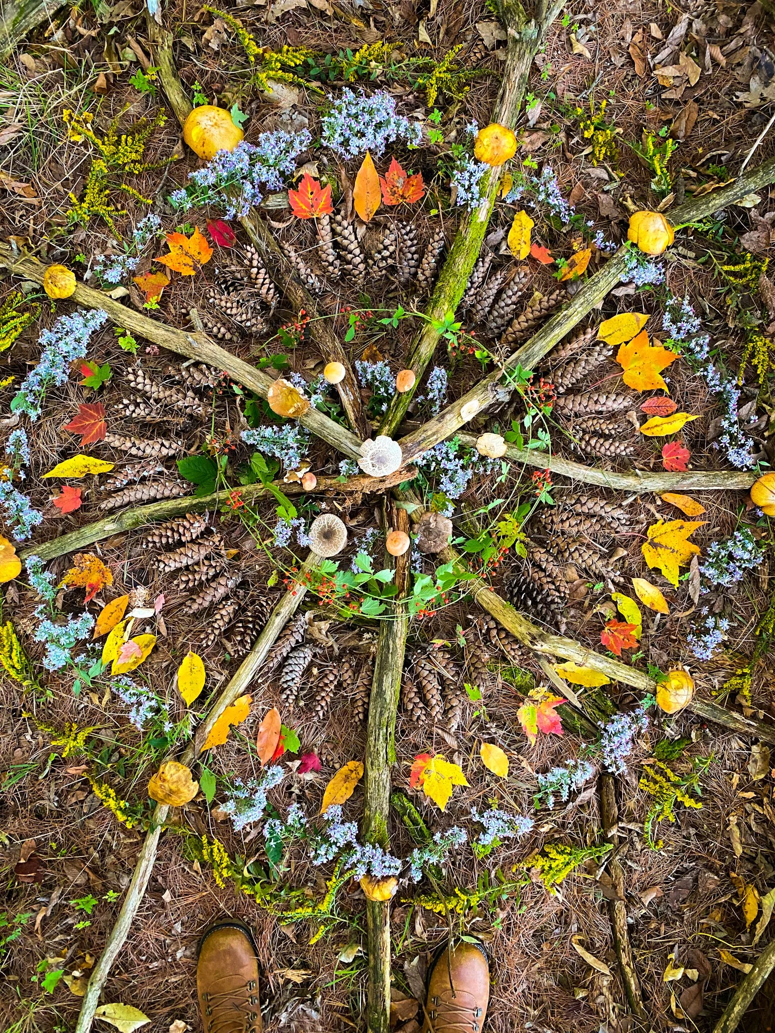 The Seventh Path - The Sun + St. Johns Wort | Judgement + Blue Lotus | The World + The Dream Garden