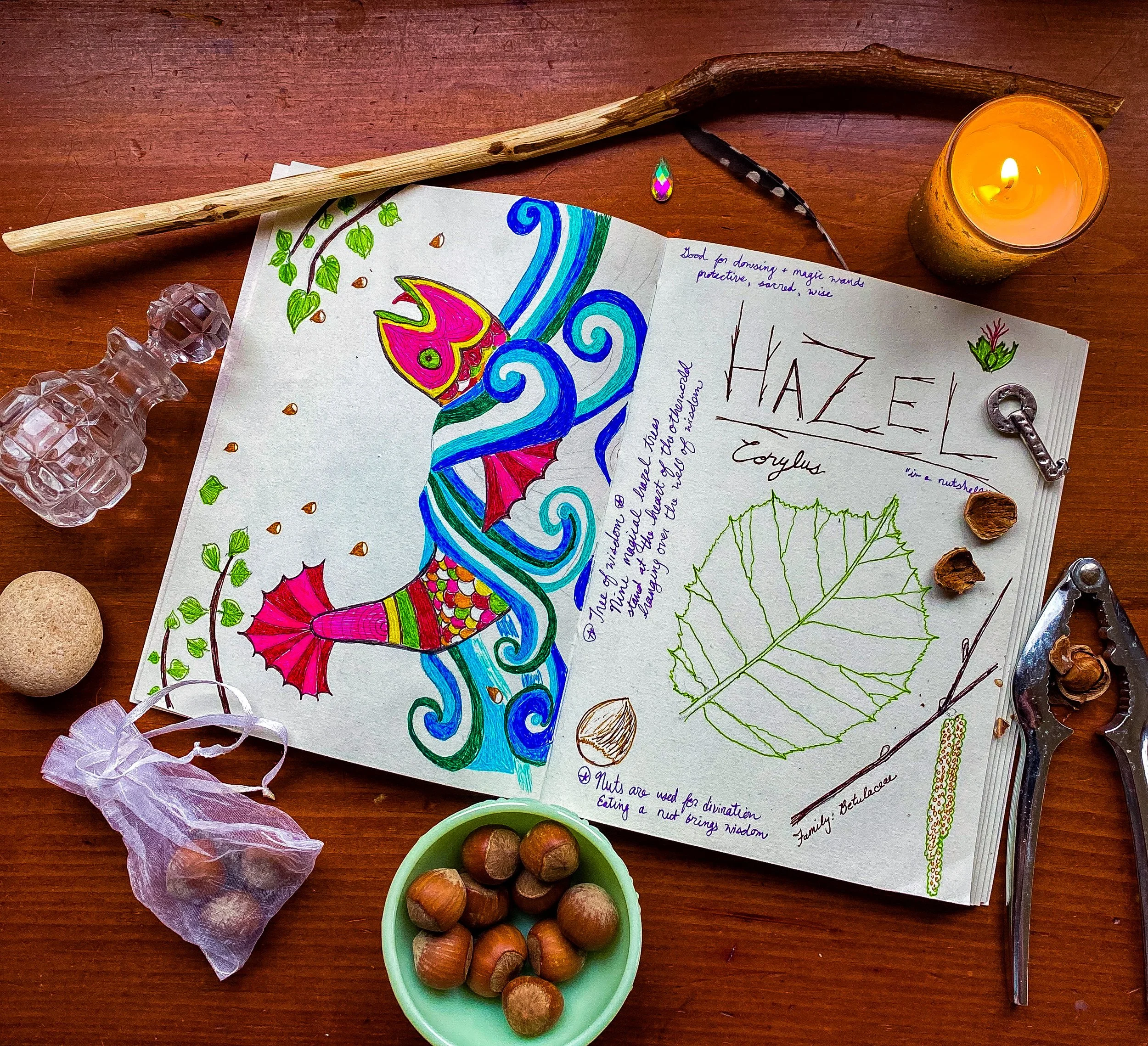 The Fourth Path - The Wheel + Reishi, Justice + Hazel, The Hanged Man + Willow