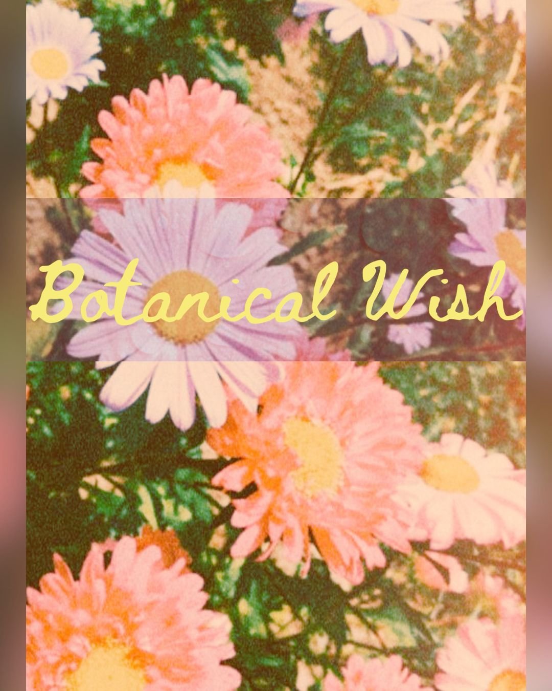 Untitled design 1.jpg