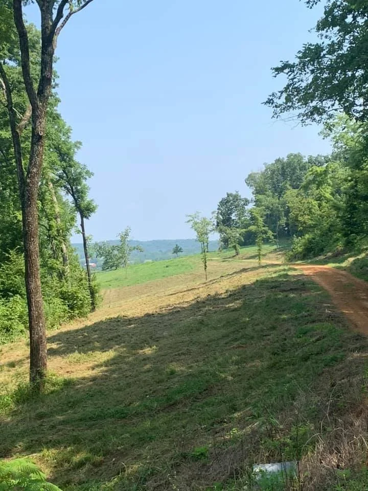 Brush Cutting - After 2.webp