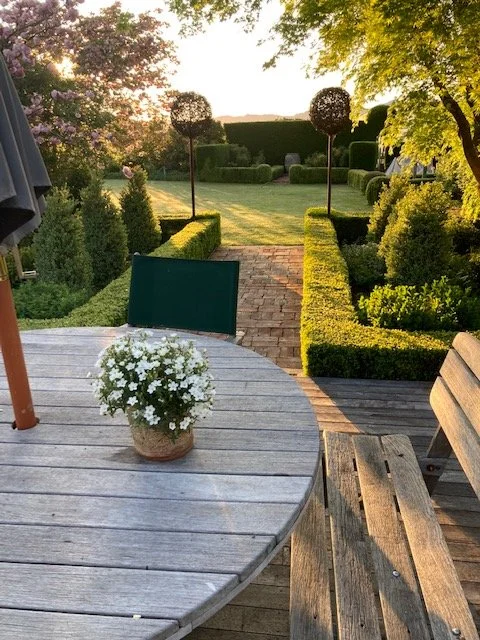 Buxus hedges pic.jpg
