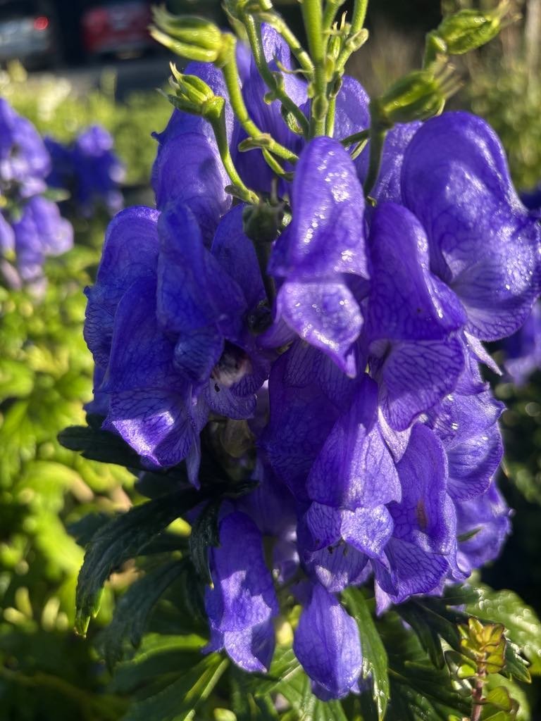 e25bee09-4864-47d3-b0f0-c5fbb7128d6f.jpg