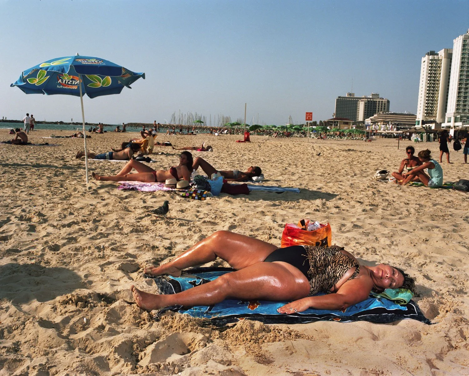 Woman in Leopard Suit Sunbathes, 2011