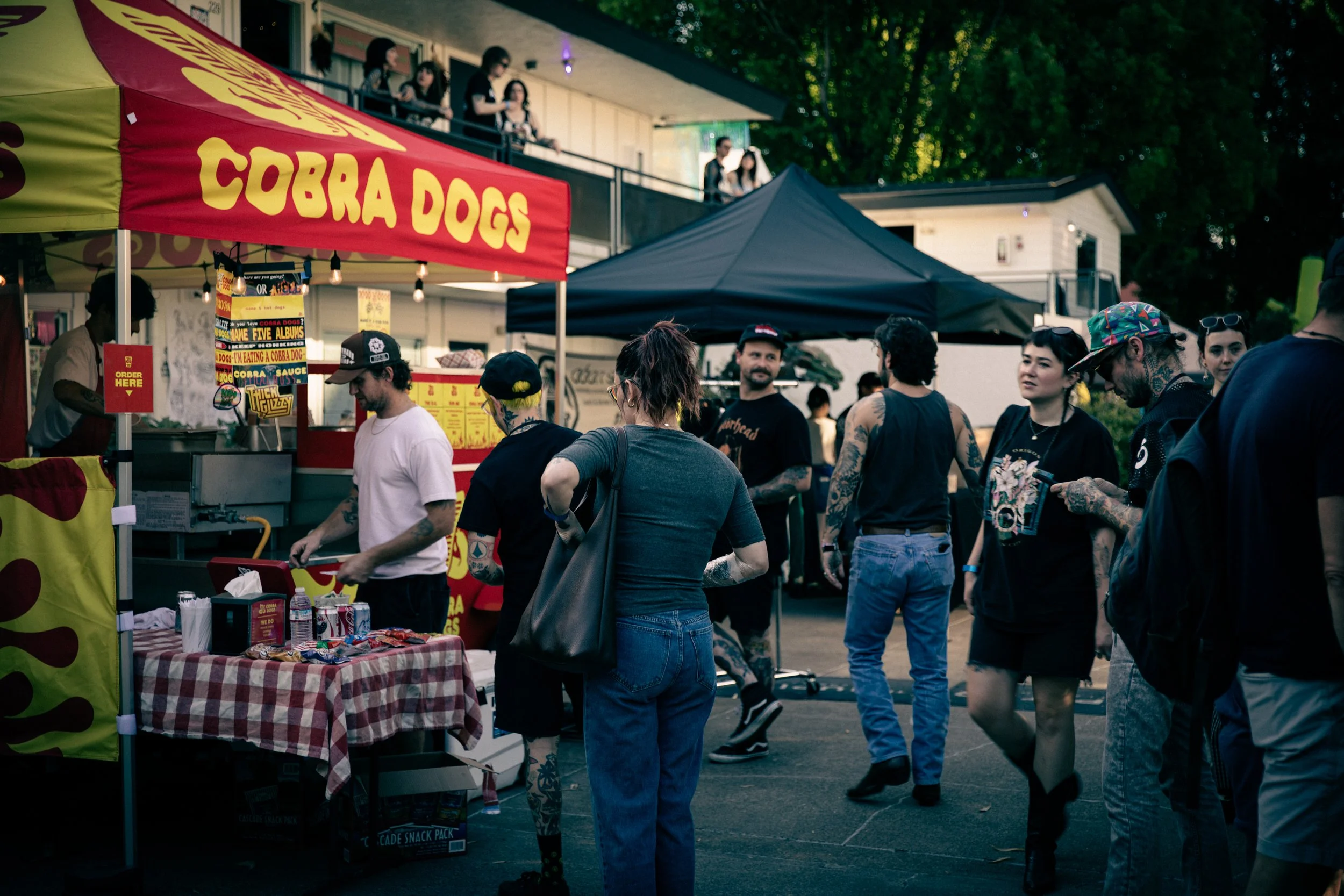Cobra Dogs.jpg
