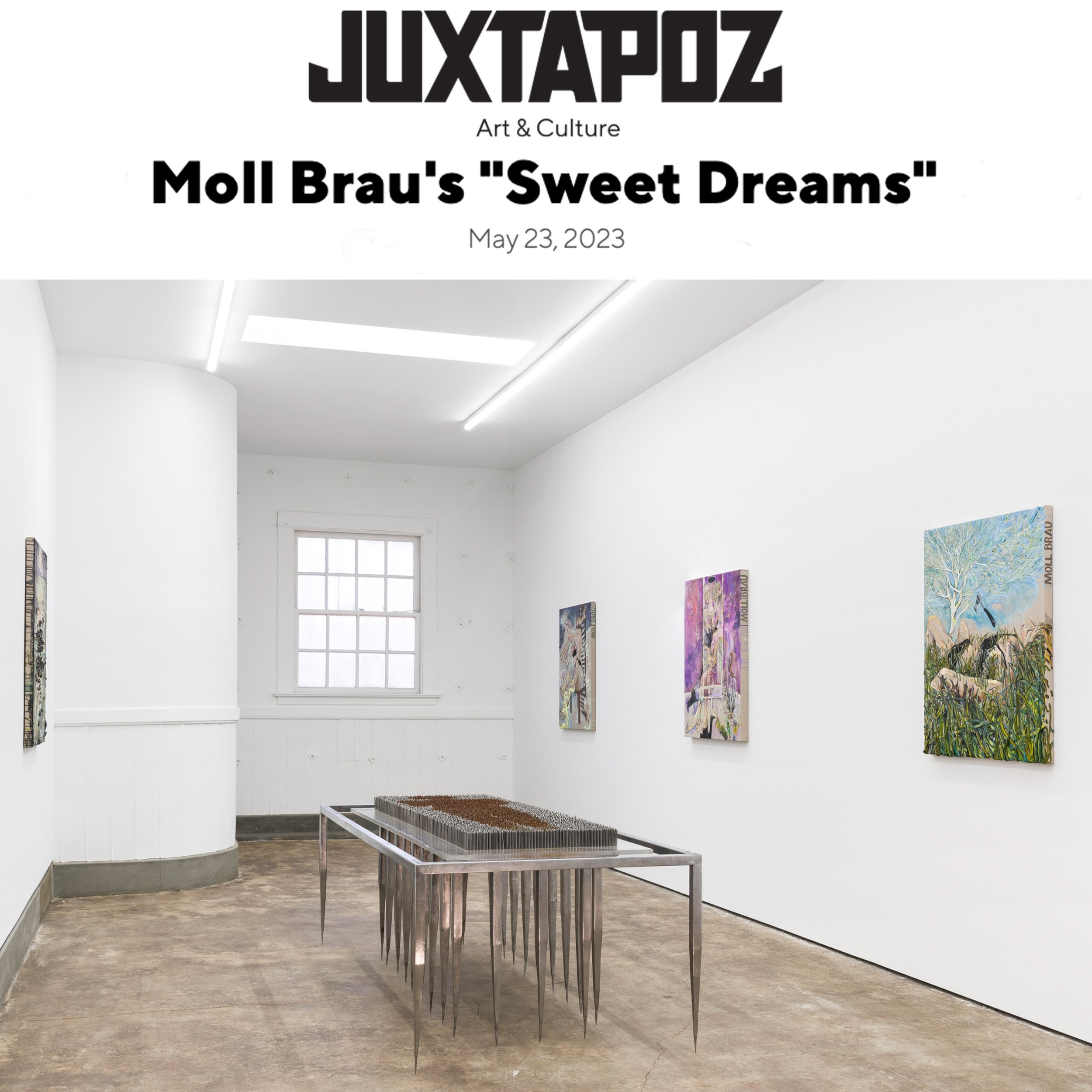 Juxtapoz - Moll Brau.jpg