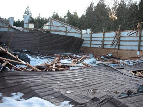 collapsed002.jpg