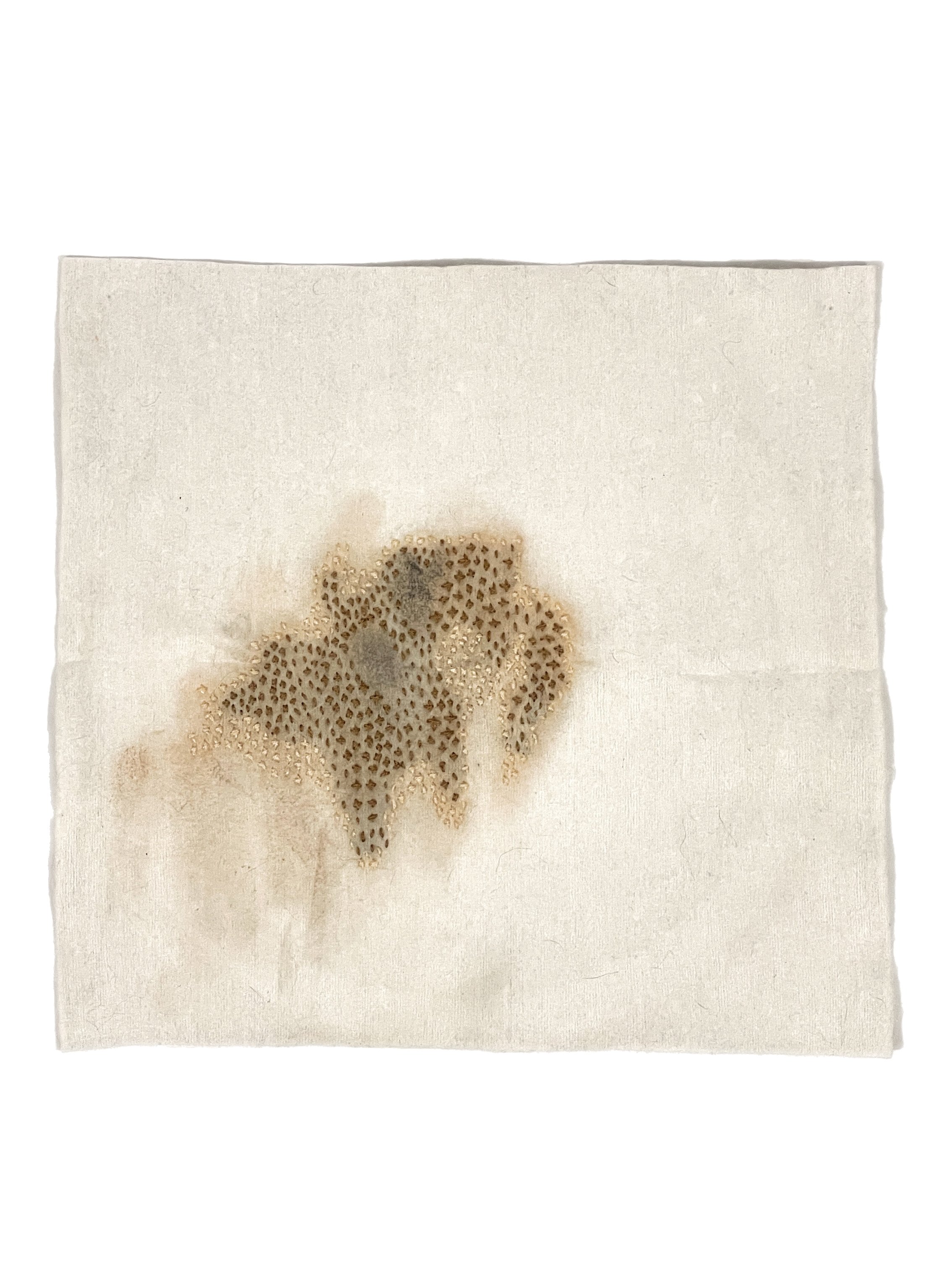 Bio Portrait #5 (7.25"x7.5") 2025