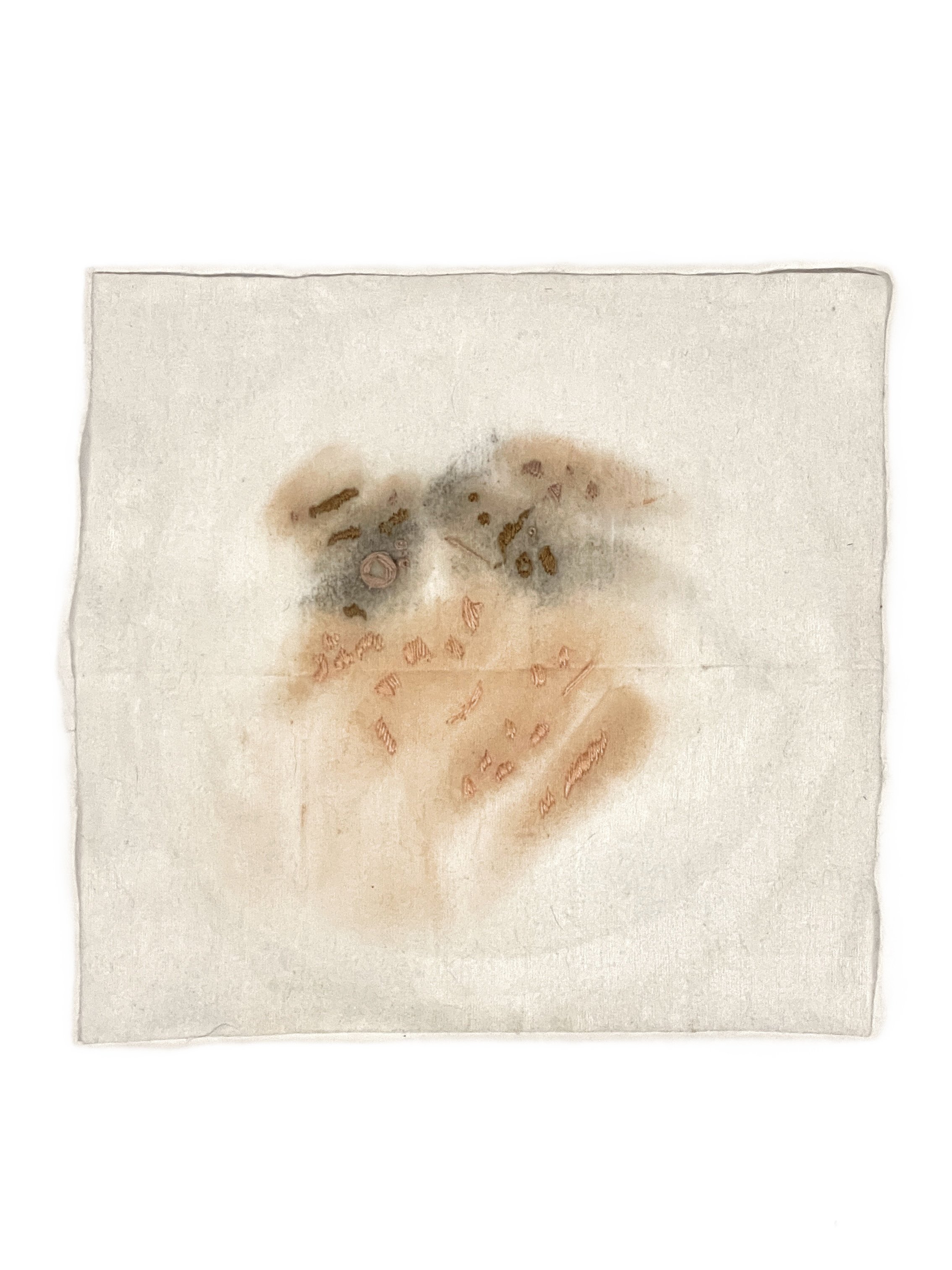 Bio Portrait #7 (7.25"x7.5") 2025