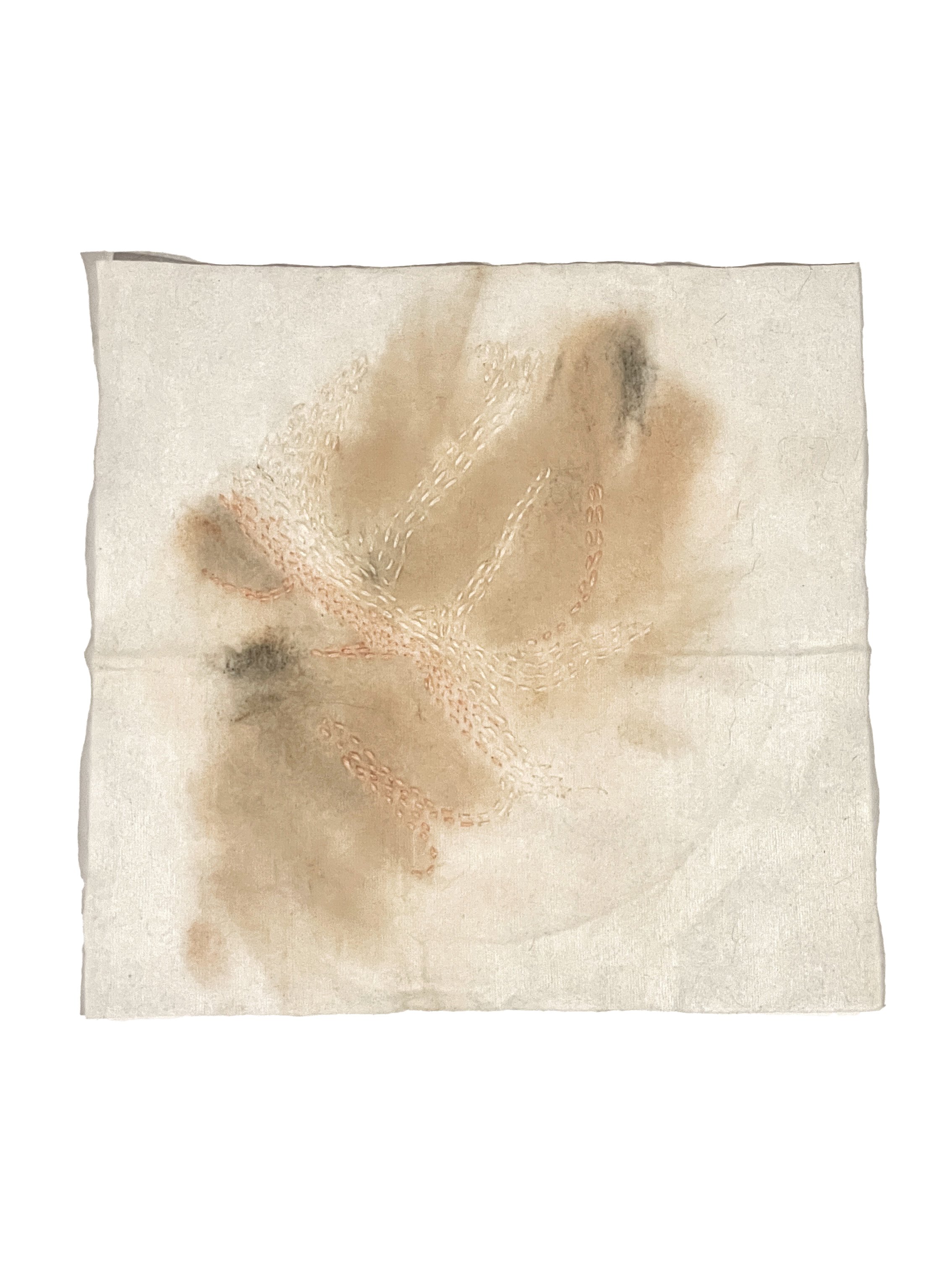 Bio Portrait #3 (7.25"x7.5") 2025