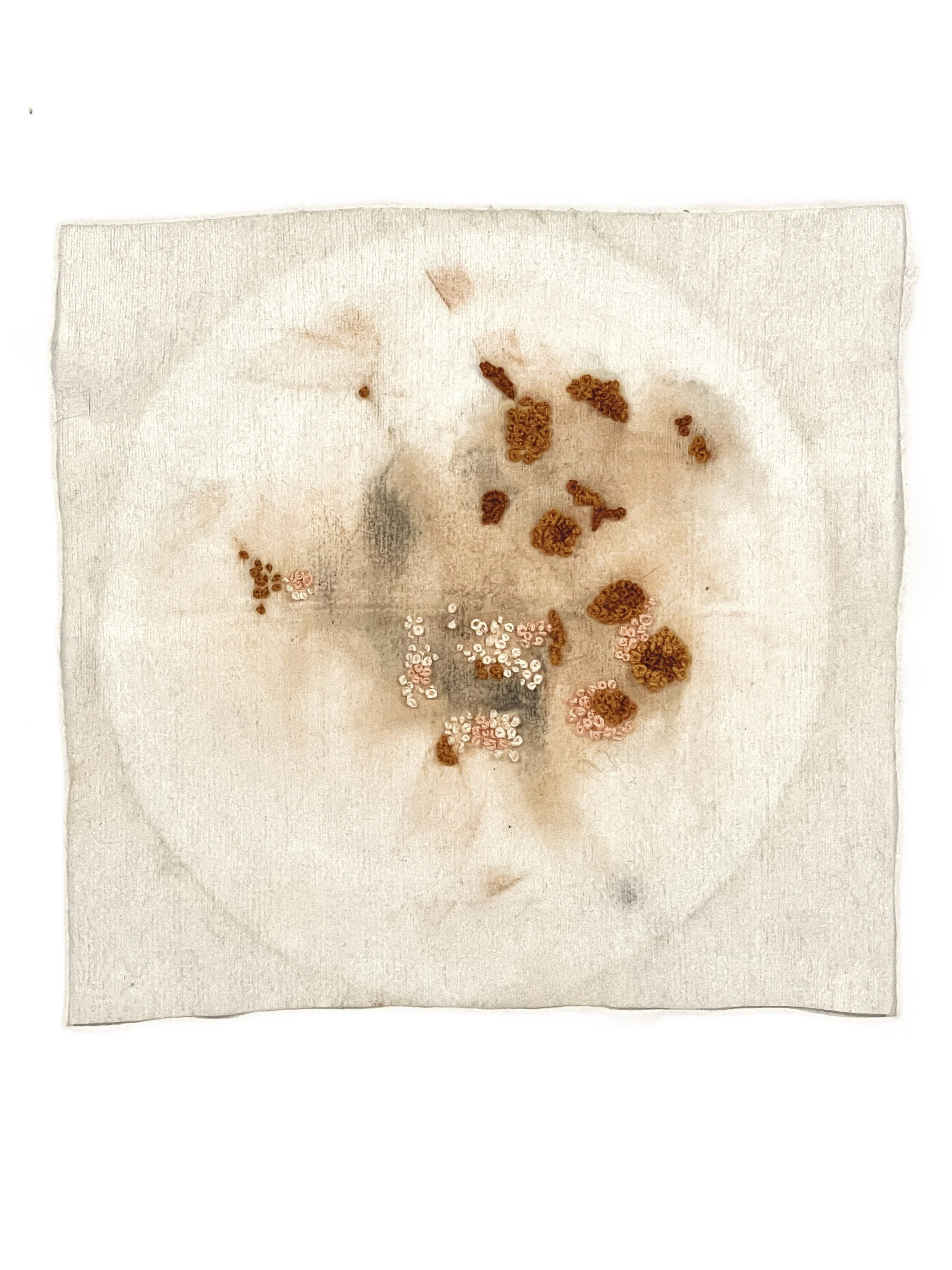 Bio Portrait #1 (7.25"x7.5") 2025