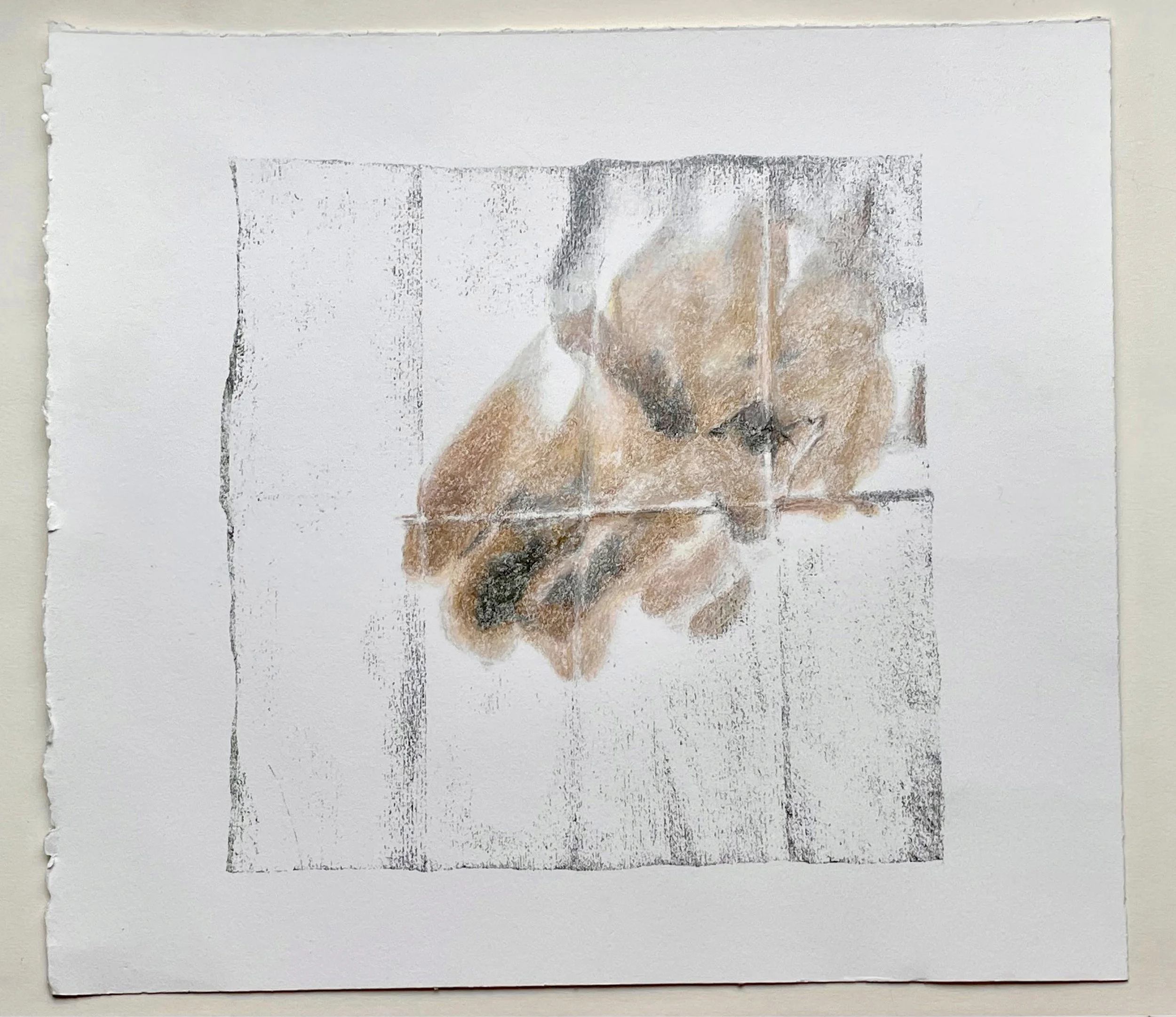 Ritual #2 (11x10) 2025