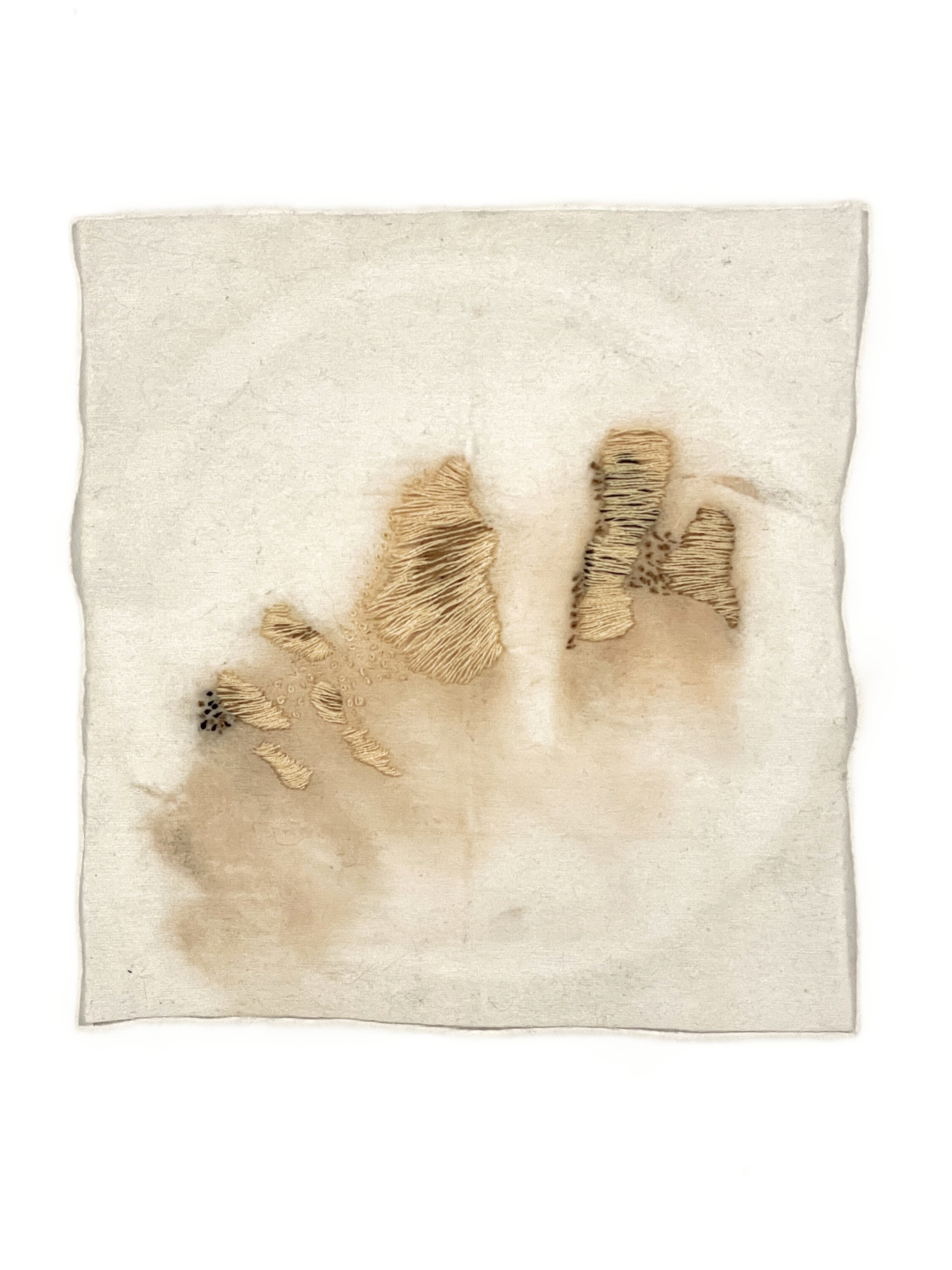 Bio Portrait #2 (7.25"x7.5") 2025