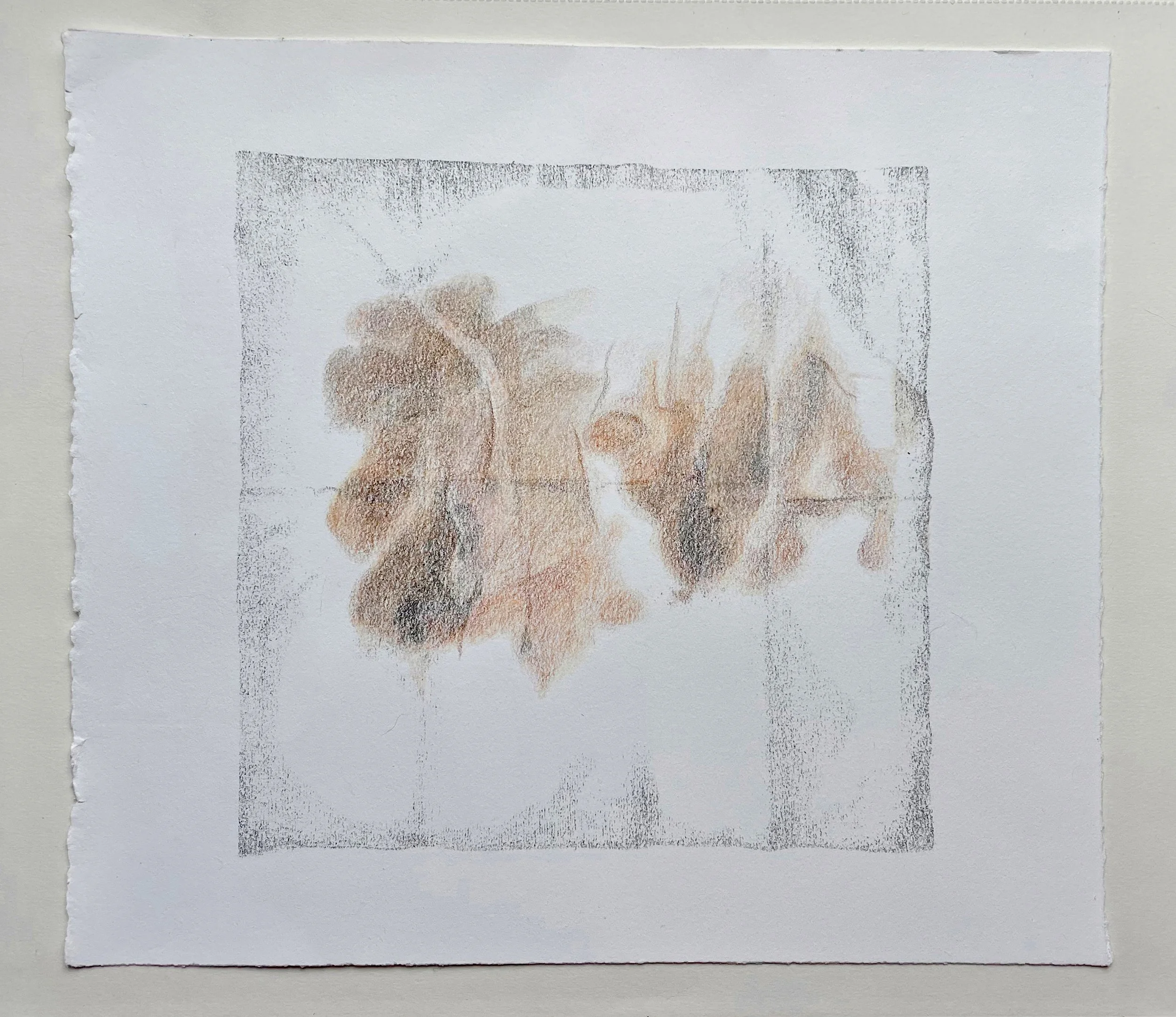 Ritual #9 (11x10) 2025