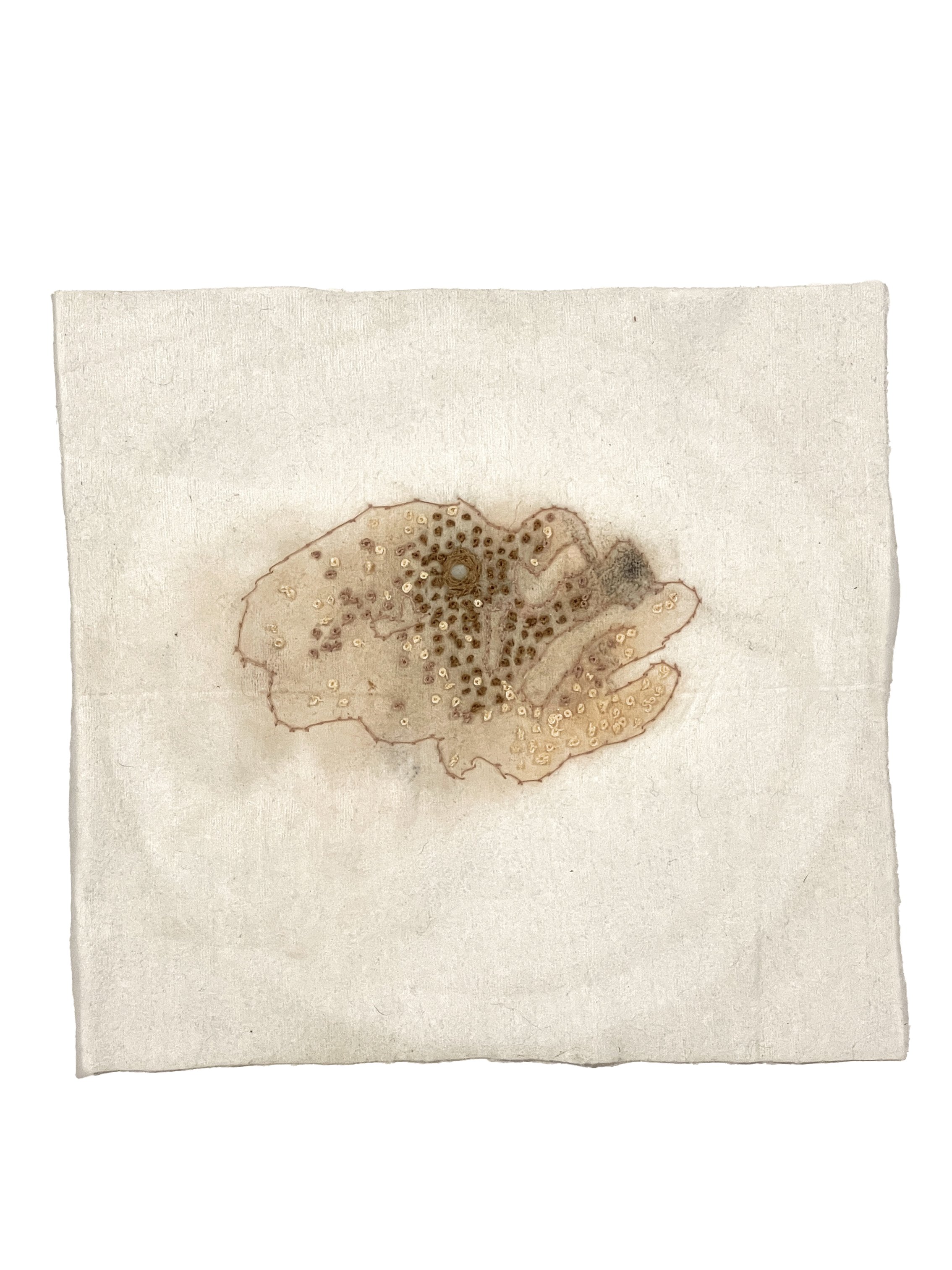 Bio Portrait #8 (7.25"x7.5") 2025