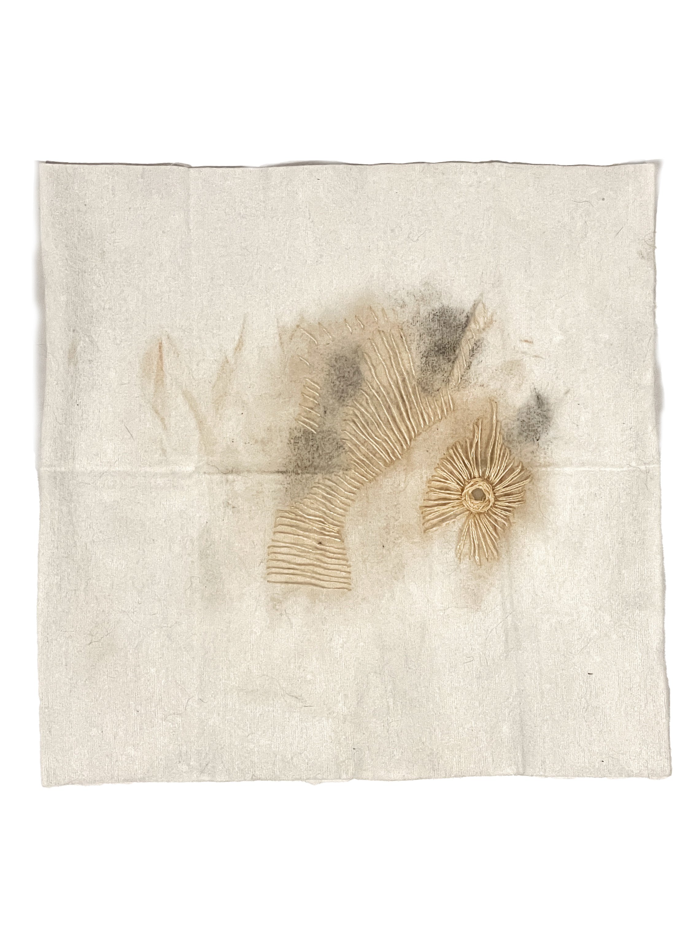 Bio Portrait #4 (7.25"x7.5") 2025