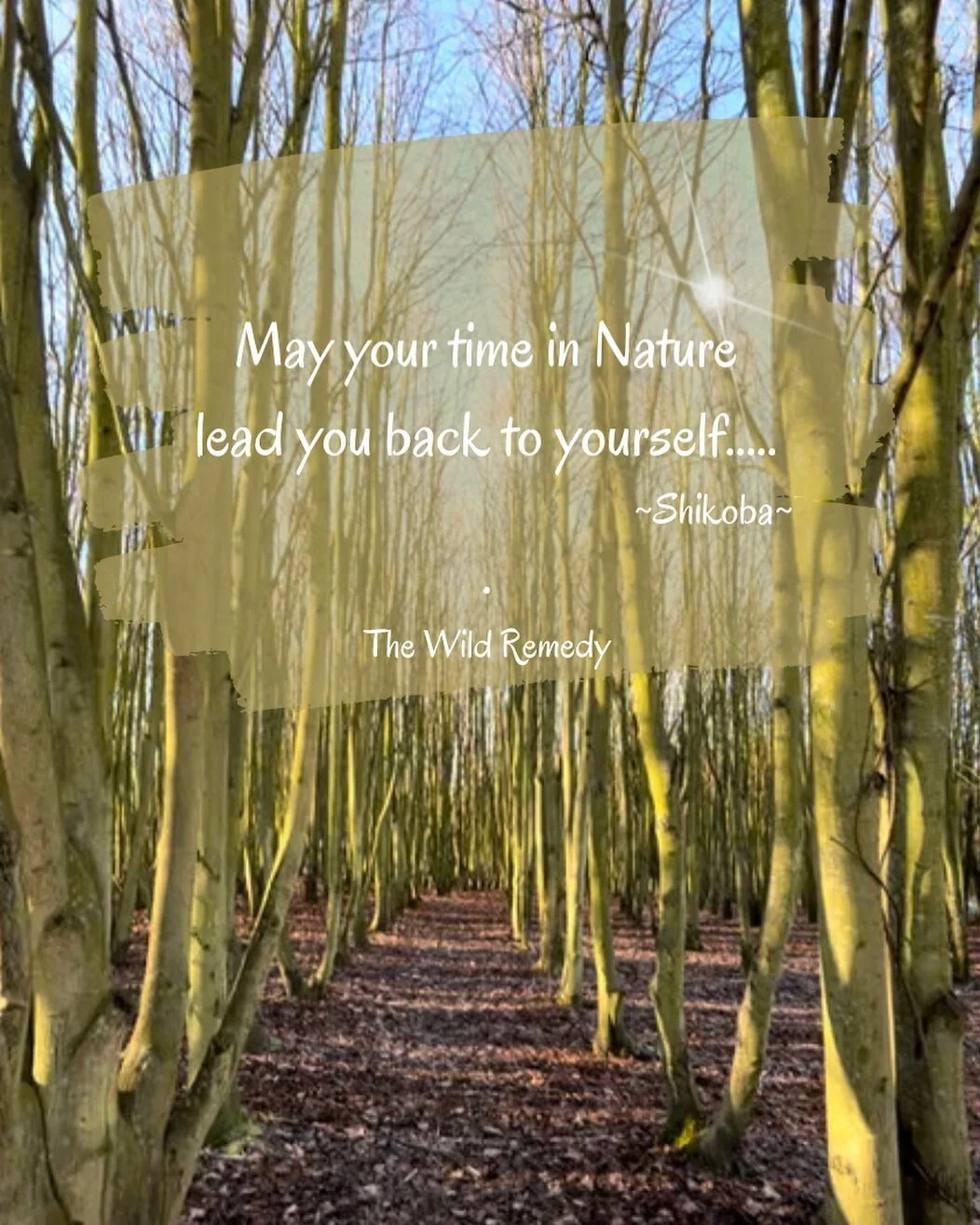 Some call it hump day we call it Well-being Wednesday. How&rsquo;s your week been? Have you spent anytime outside away from the screen, desk, work? 

Being physically active while in nature settings alters what's happening in your brain in a way that