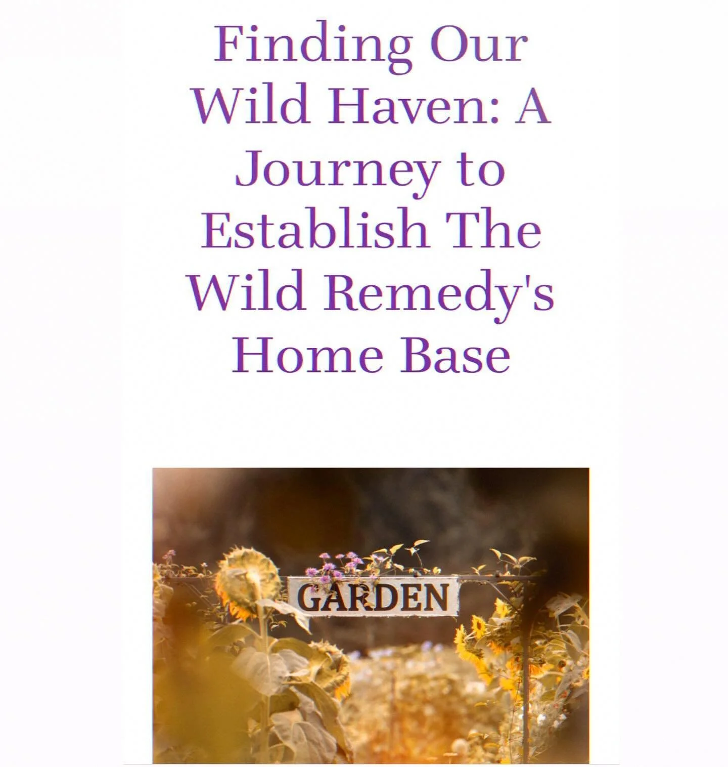 NEW BLOG POST UP! Grab a cuppa ☕️ and read about the latest chapter of our journey on the highs and lows we&rsquo;ve encountered in our quest to find the perfect plot of land to establish a home base for our ecotherapy activities. The past year has b