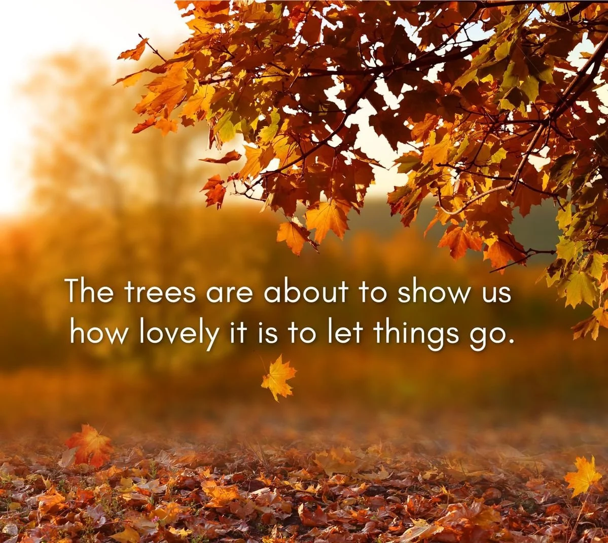 🌿 September Garden Notes: Falling in Love With Ourselves