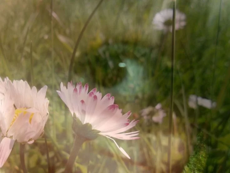 The Body is Not a Trend