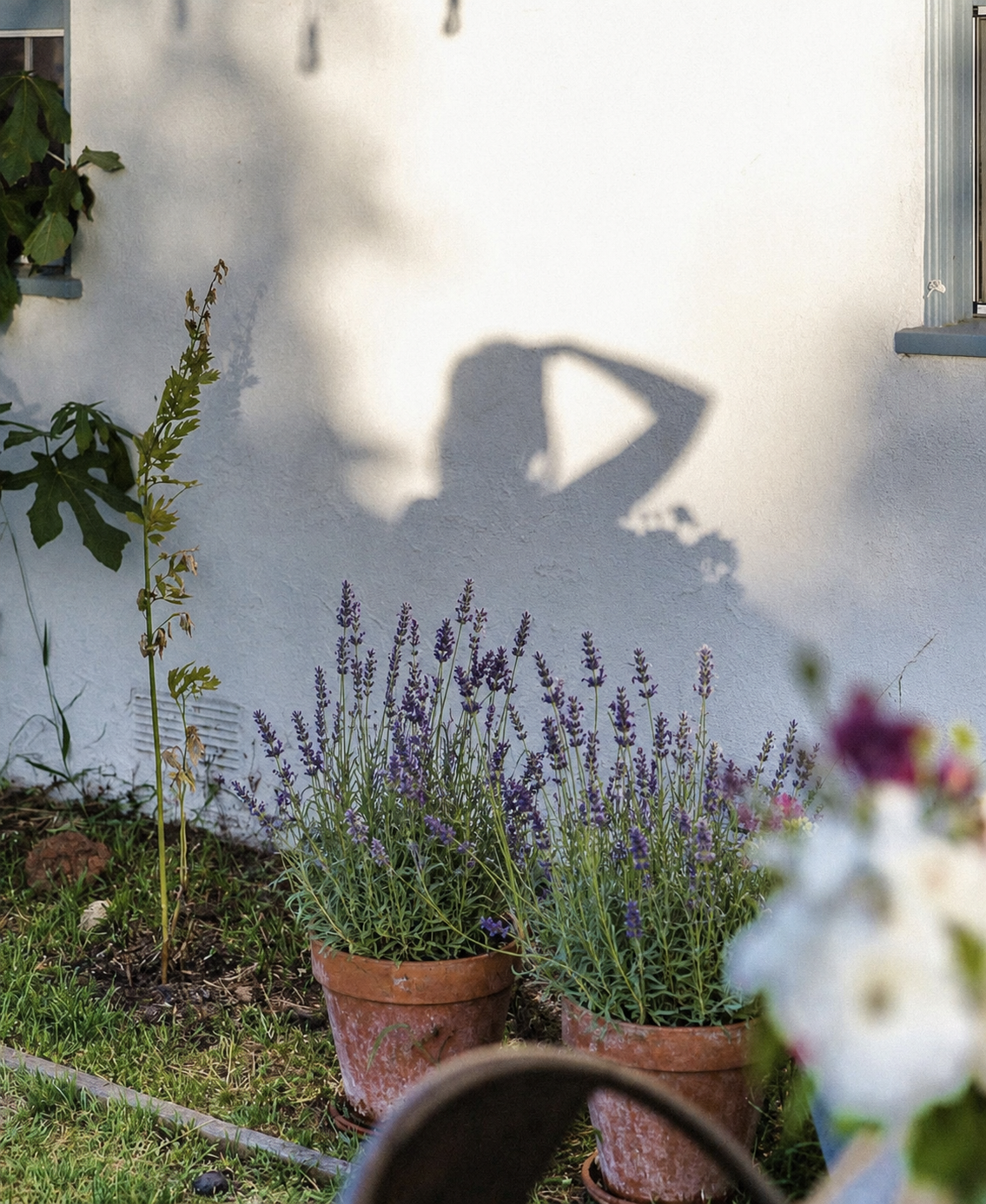 The May Garden Note