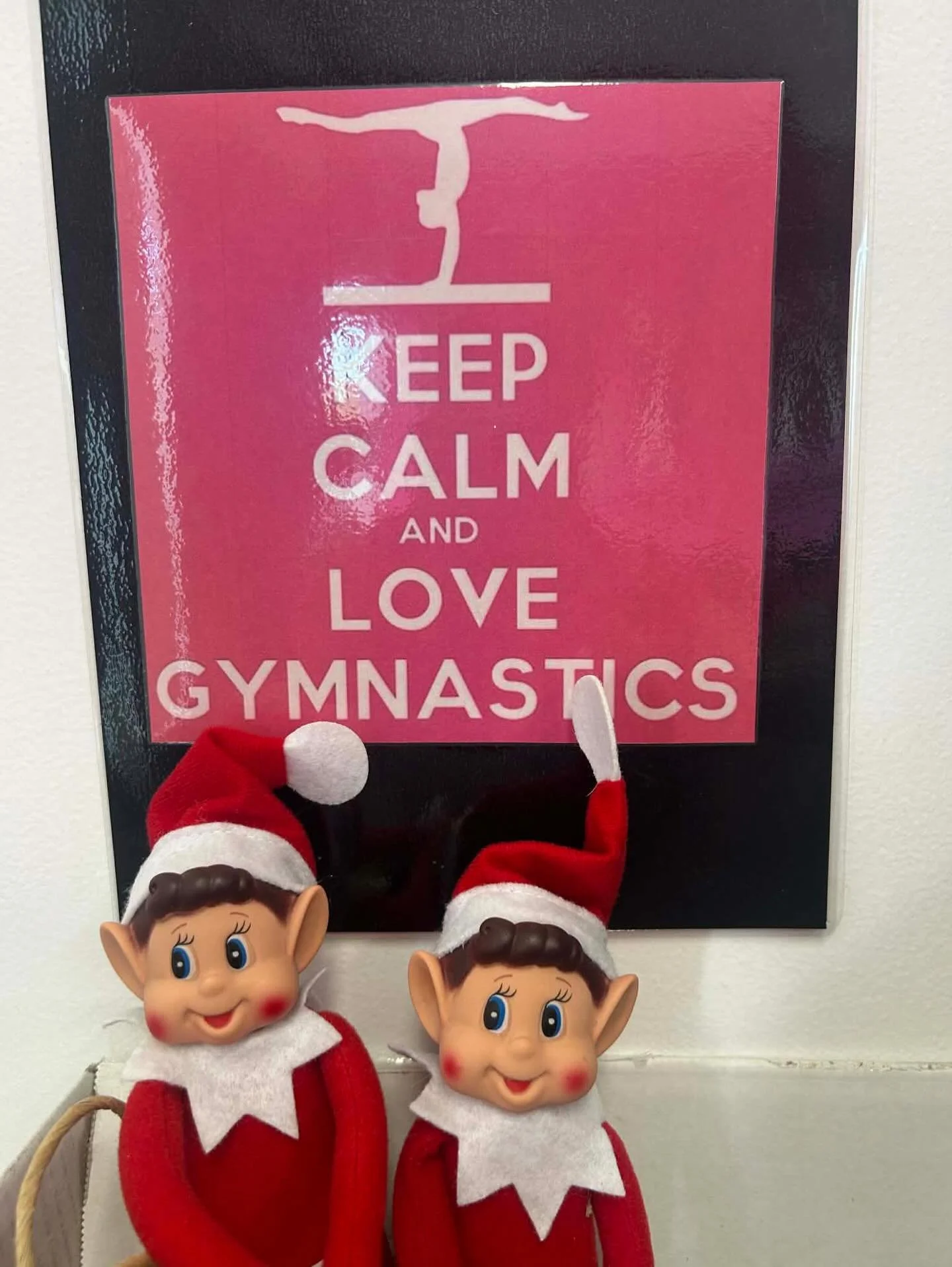 Hi gymnasts! We are Kippy and Flippy! We are joining WDYC for some gymnastics fun up until Christmas! See if you can spot us around the gym 🤸&zwj;♀️🎄 ⭐️ 

Kippy will be handstanding at Bardon
And Flippy will be tuck backing at Enoggera 

🎄🎄🎄