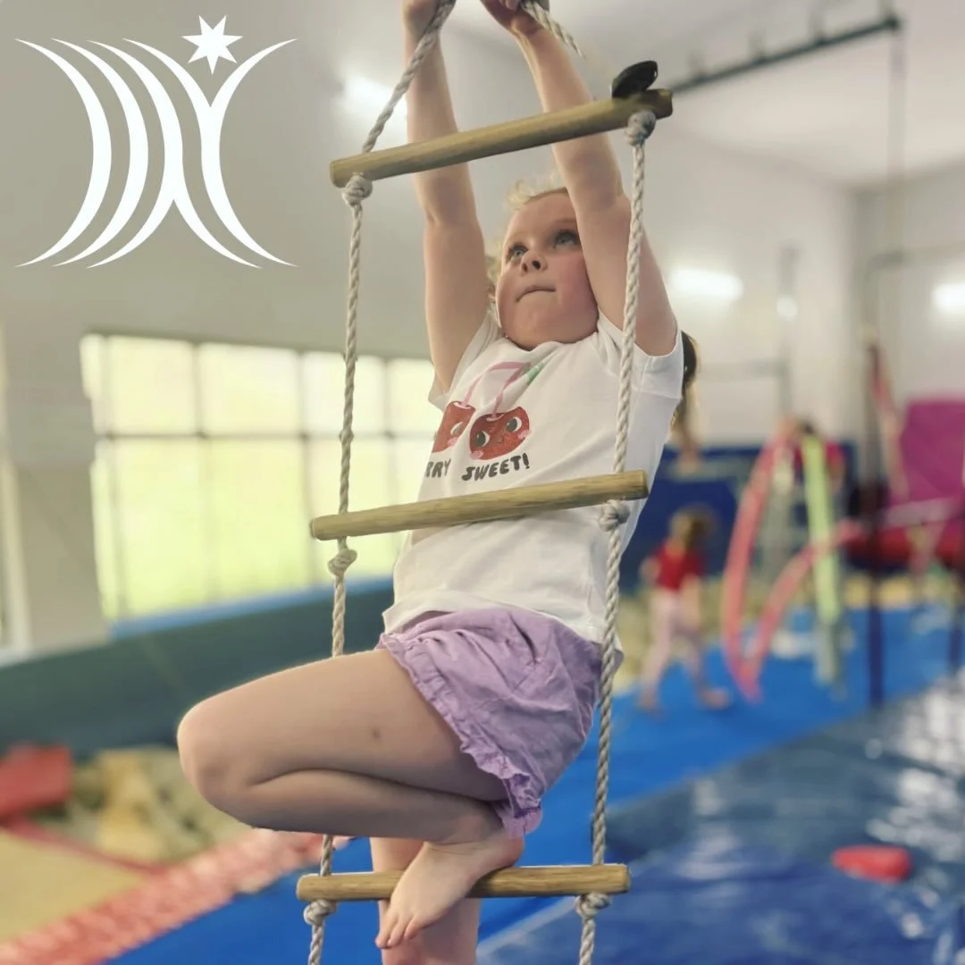 ⭐️ Recreational Gymnastics classes ⭐️

Recreational gymnastics is a fantastic way for gymnasts to get started in the sport of gymnastics. In these programs gymnasts will focus on learning the basic fundamentals to gymnastics and progress through adva