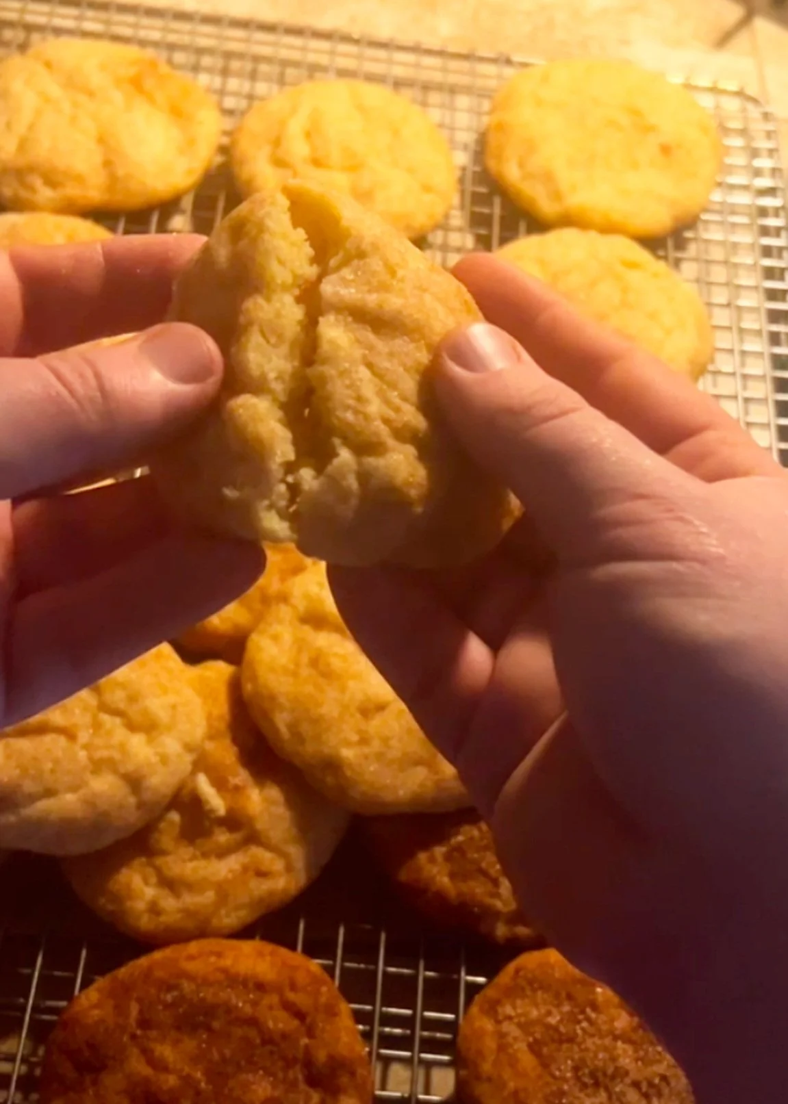 Sourdough Snickerdoodle Cookies