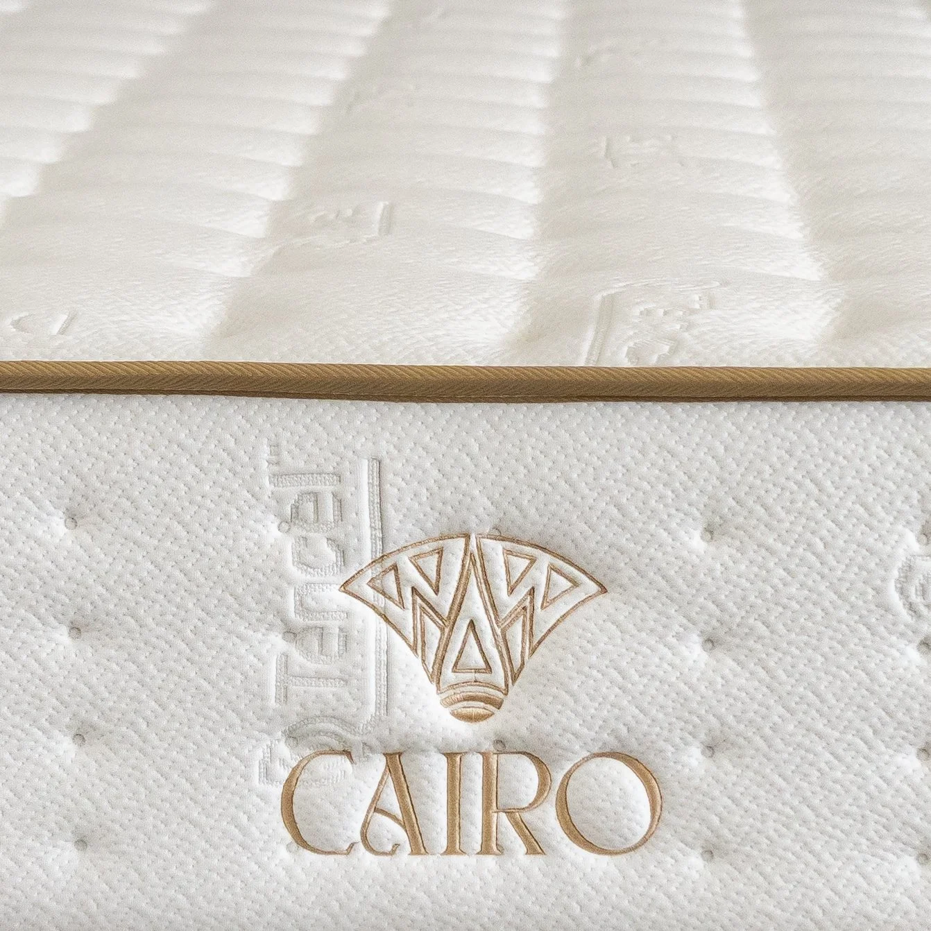 Cairo2025-details-Dreamz-1.jpg