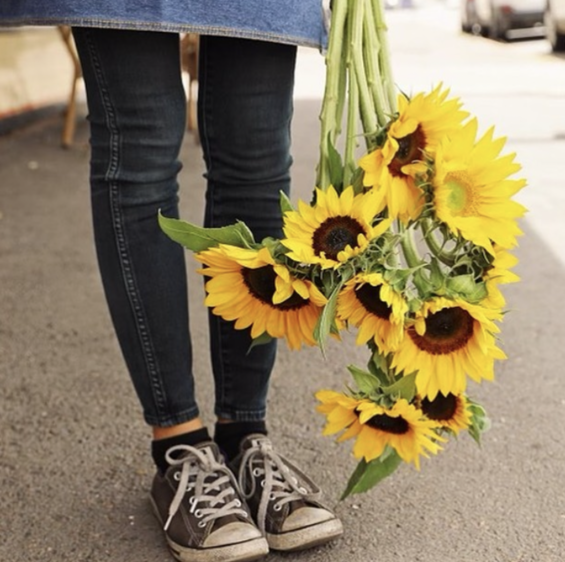 Sunflower Bunches