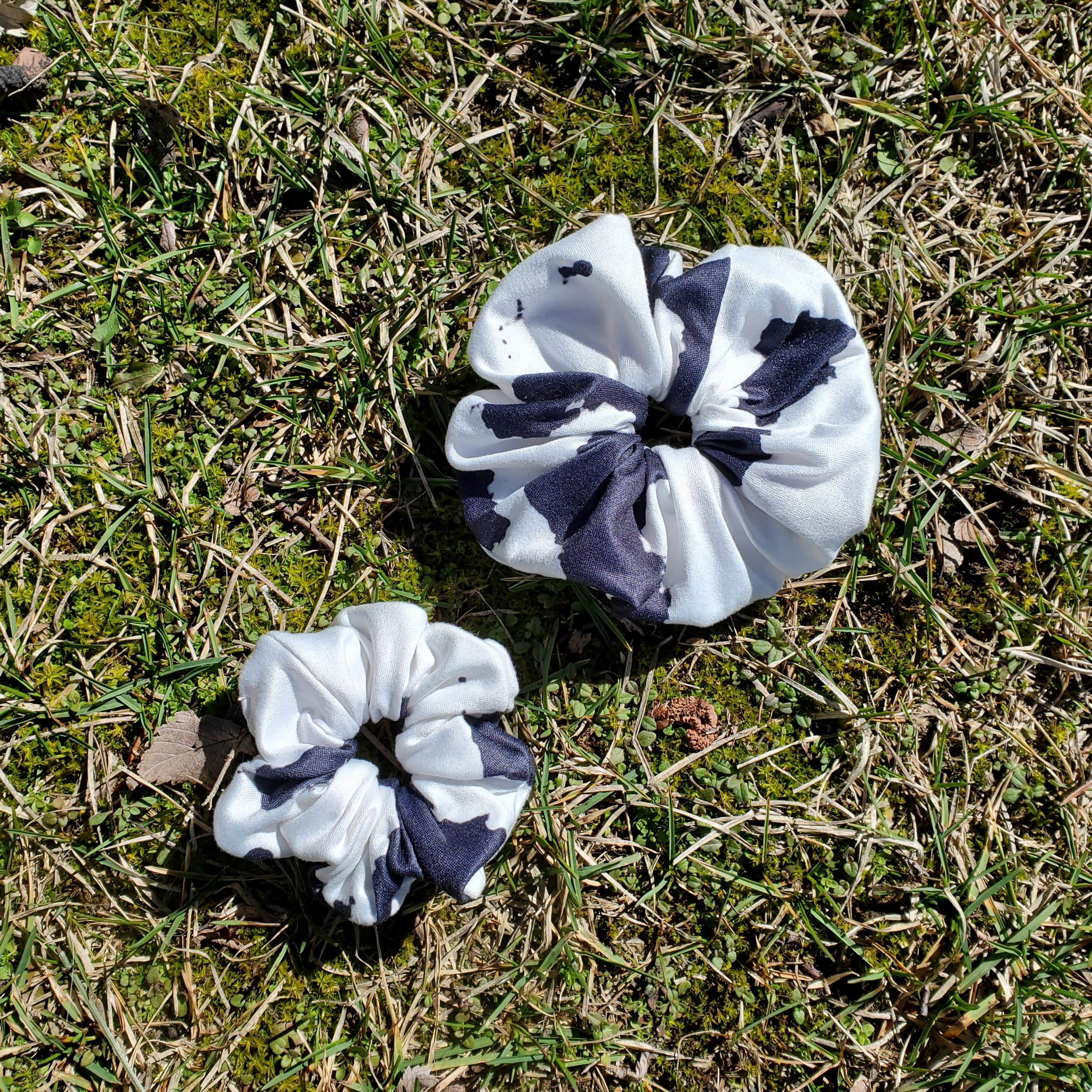 processed_20240317_122200.jpg