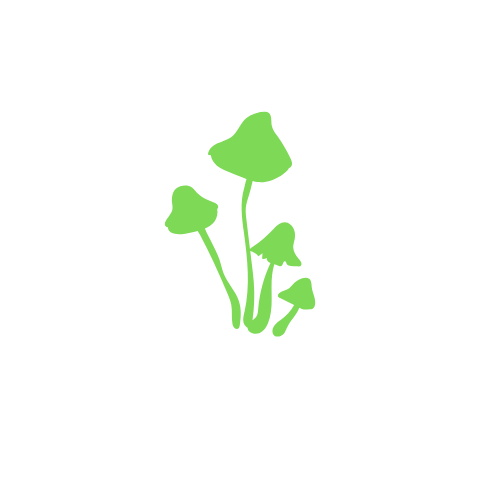 Website Design 2.png