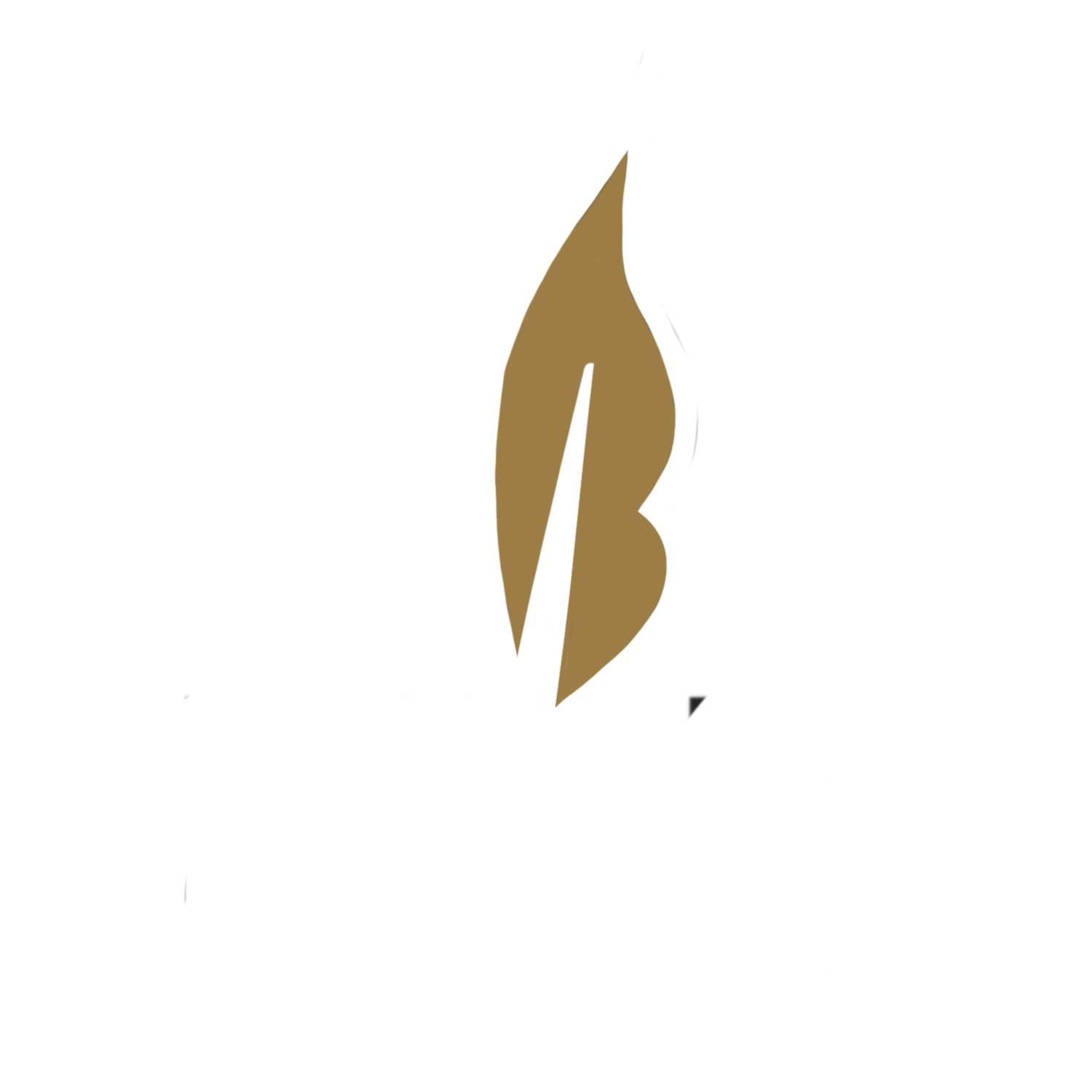 LIGHTBEARMedia