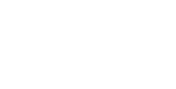 NueSoul