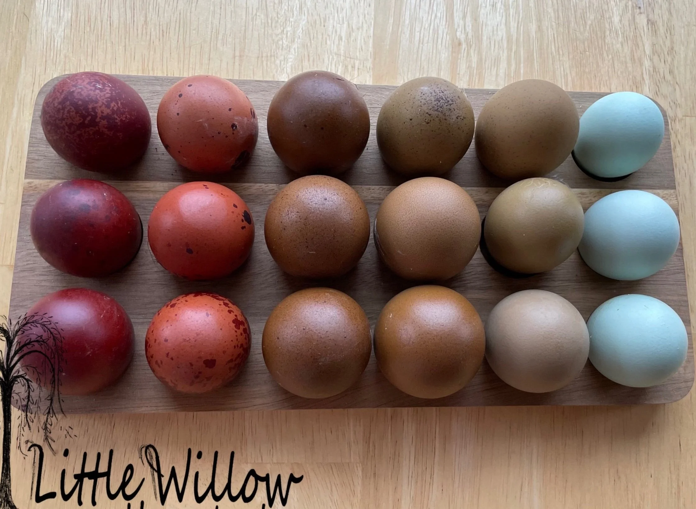 F5DA5706-FFB9-4E19-8862-EF55328F79B1